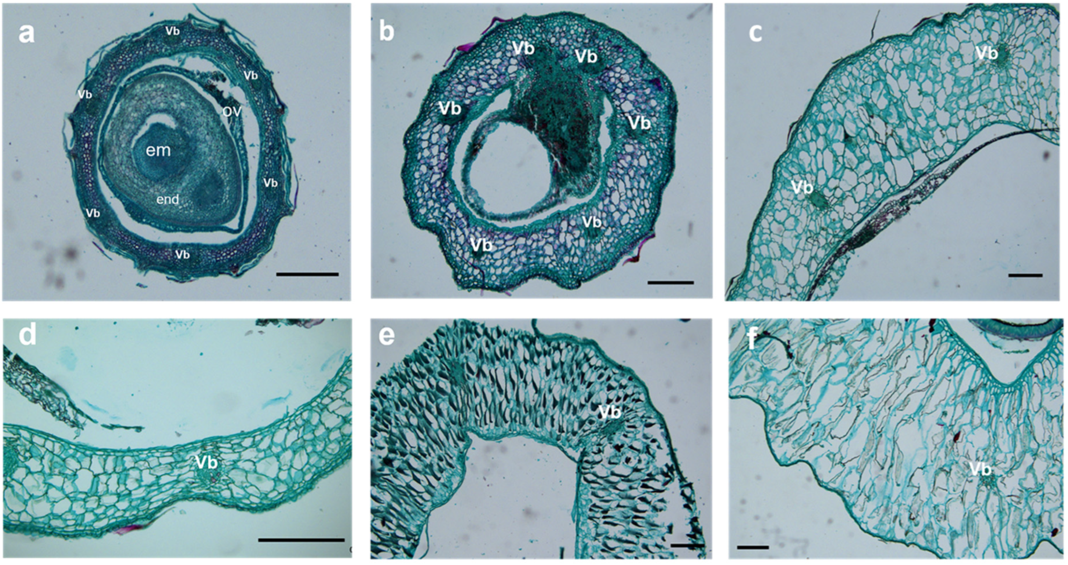 Plants 12 01005 g007 Plants 12 01005 g007