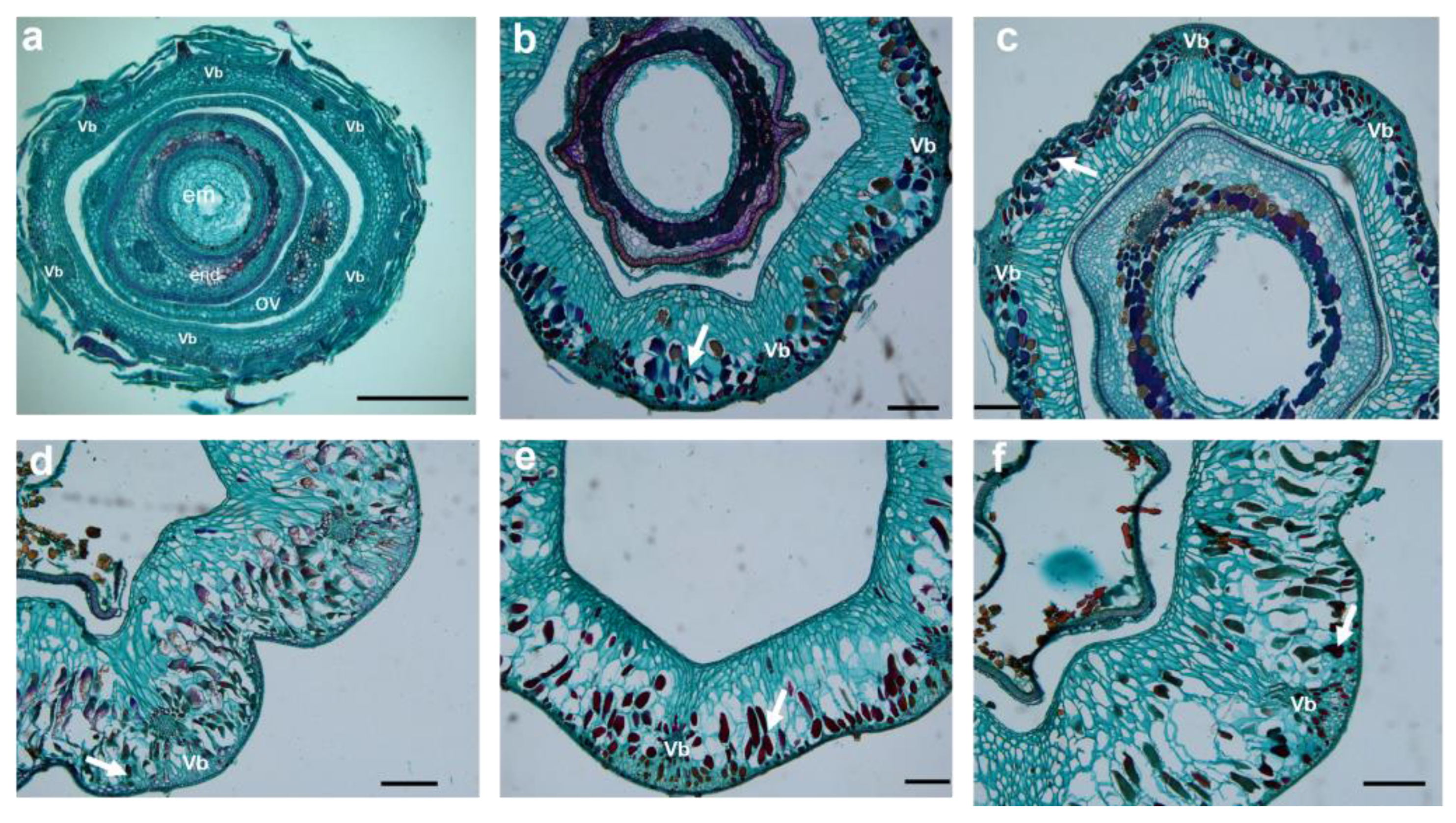 Plants 12 01005 g008 Plants 12 01005 g008