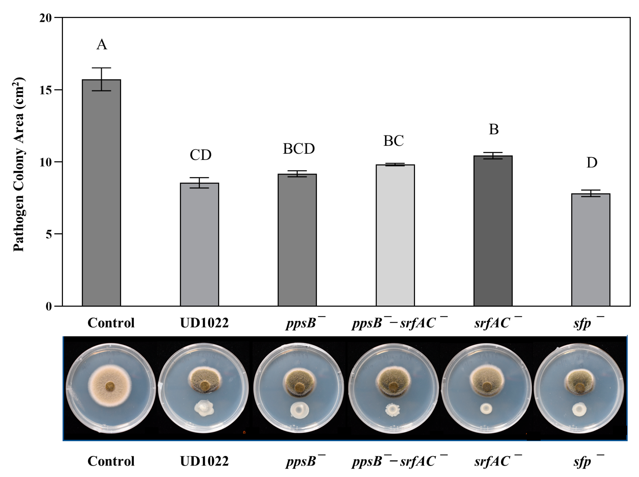 Plants 12 01007 g002