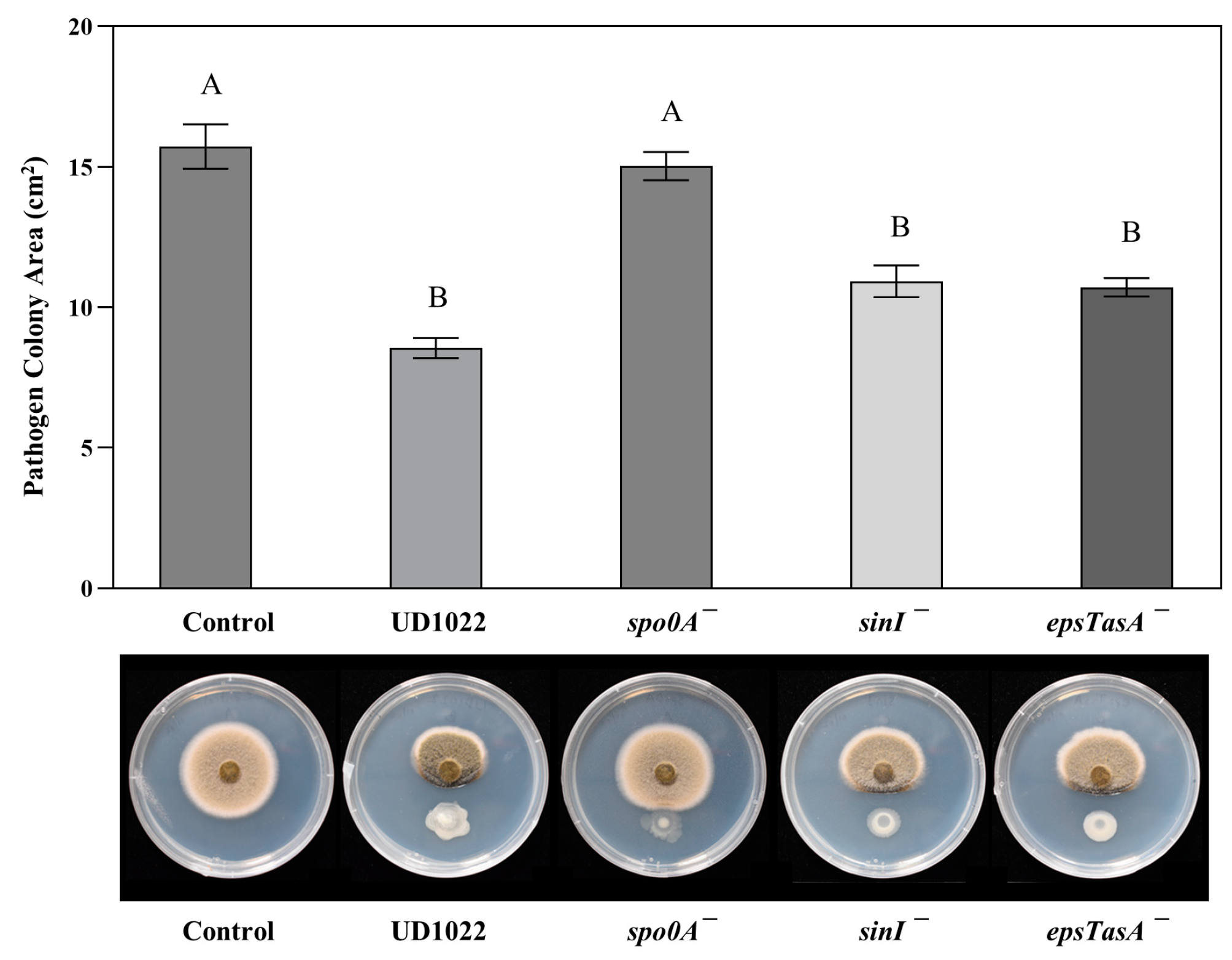 Plants 12 01007 g003