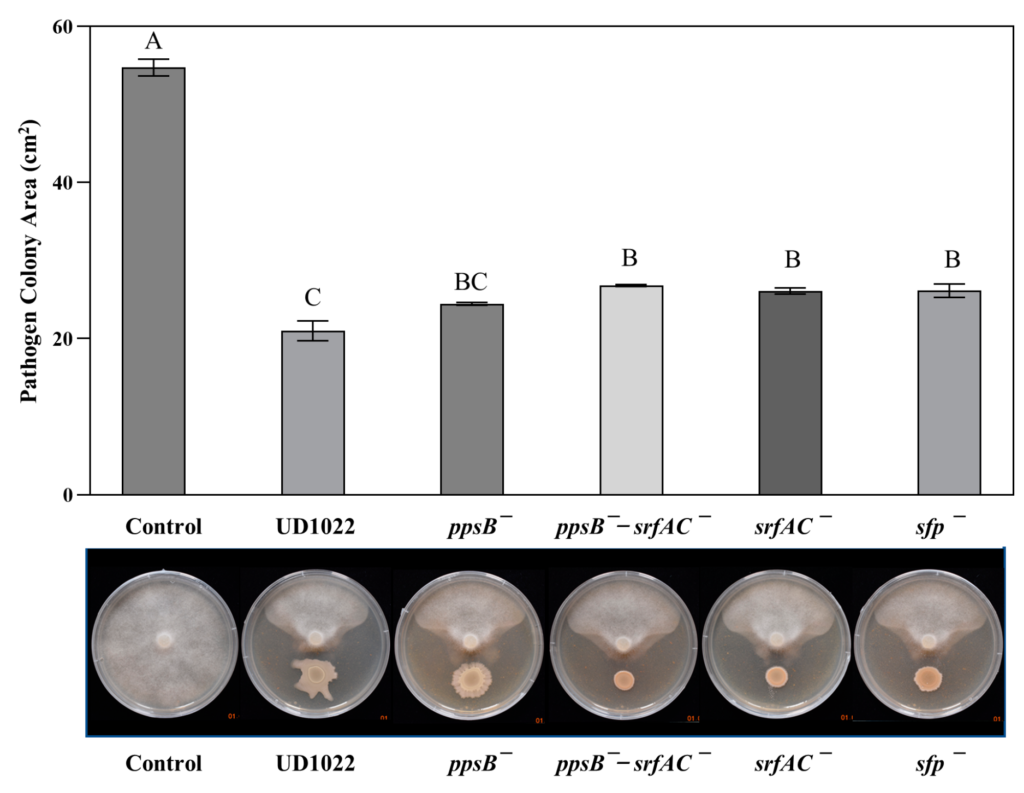 Plants 12 01007 g004