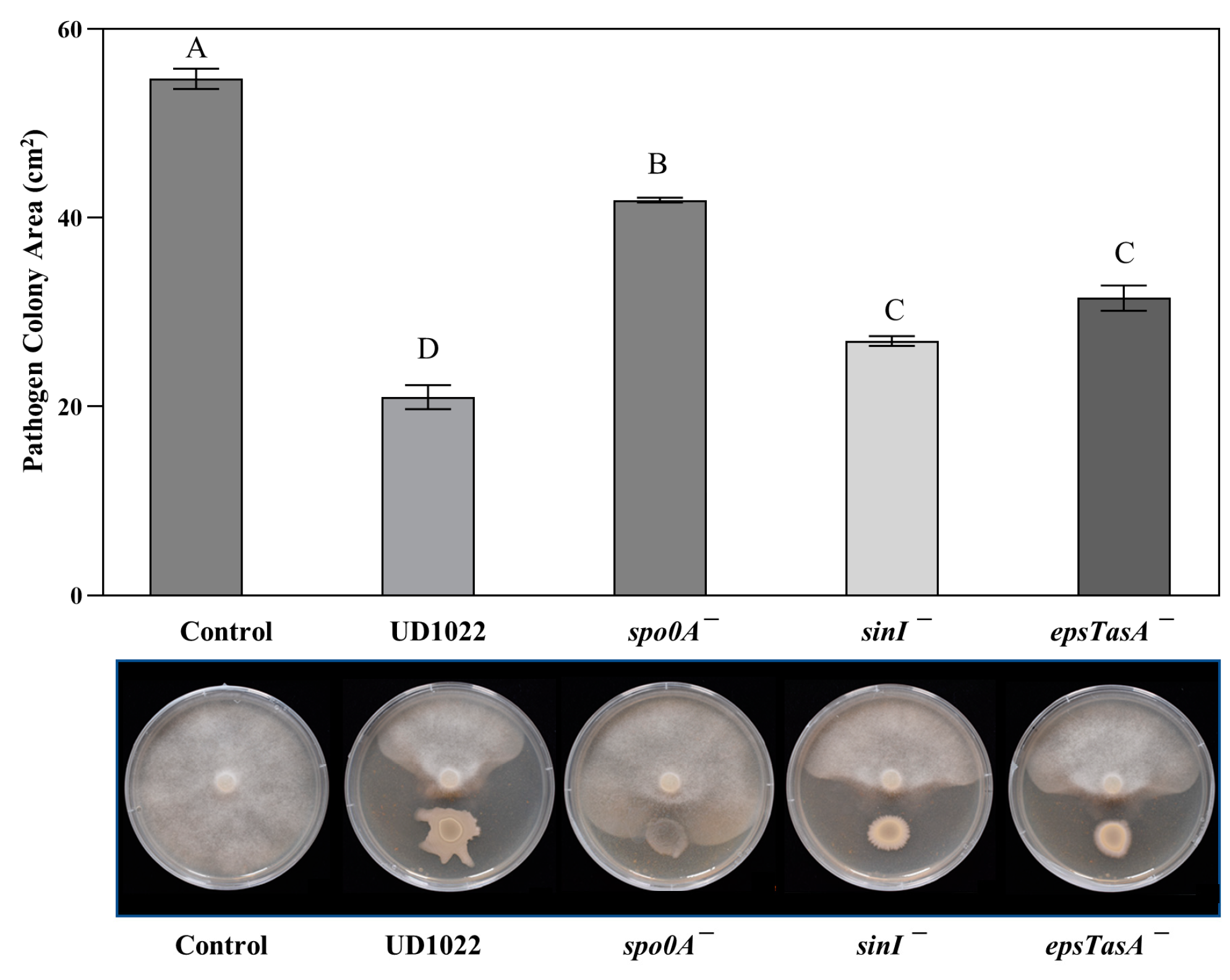 Plants 12 01007 g005