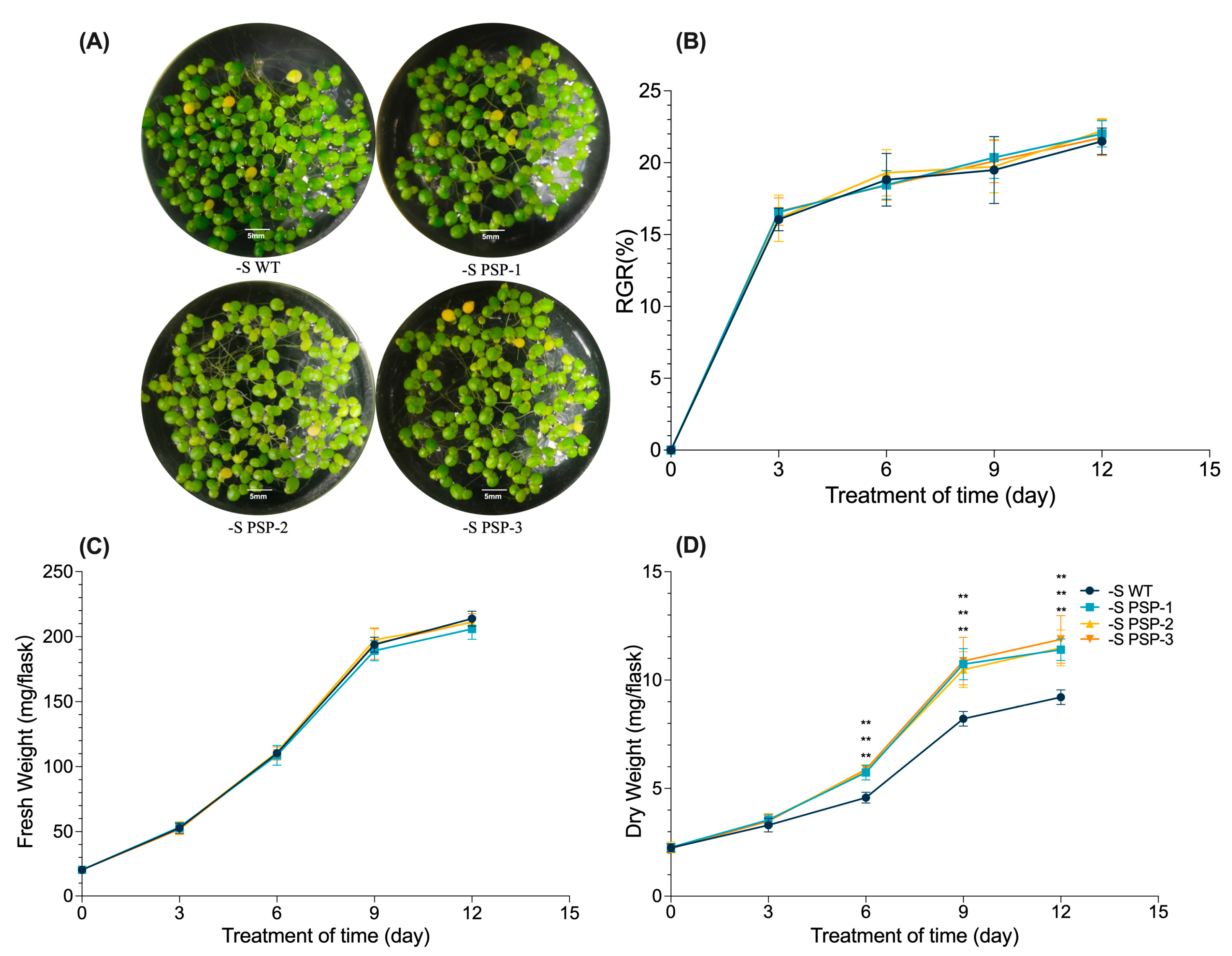 Plants 12 01012 g002