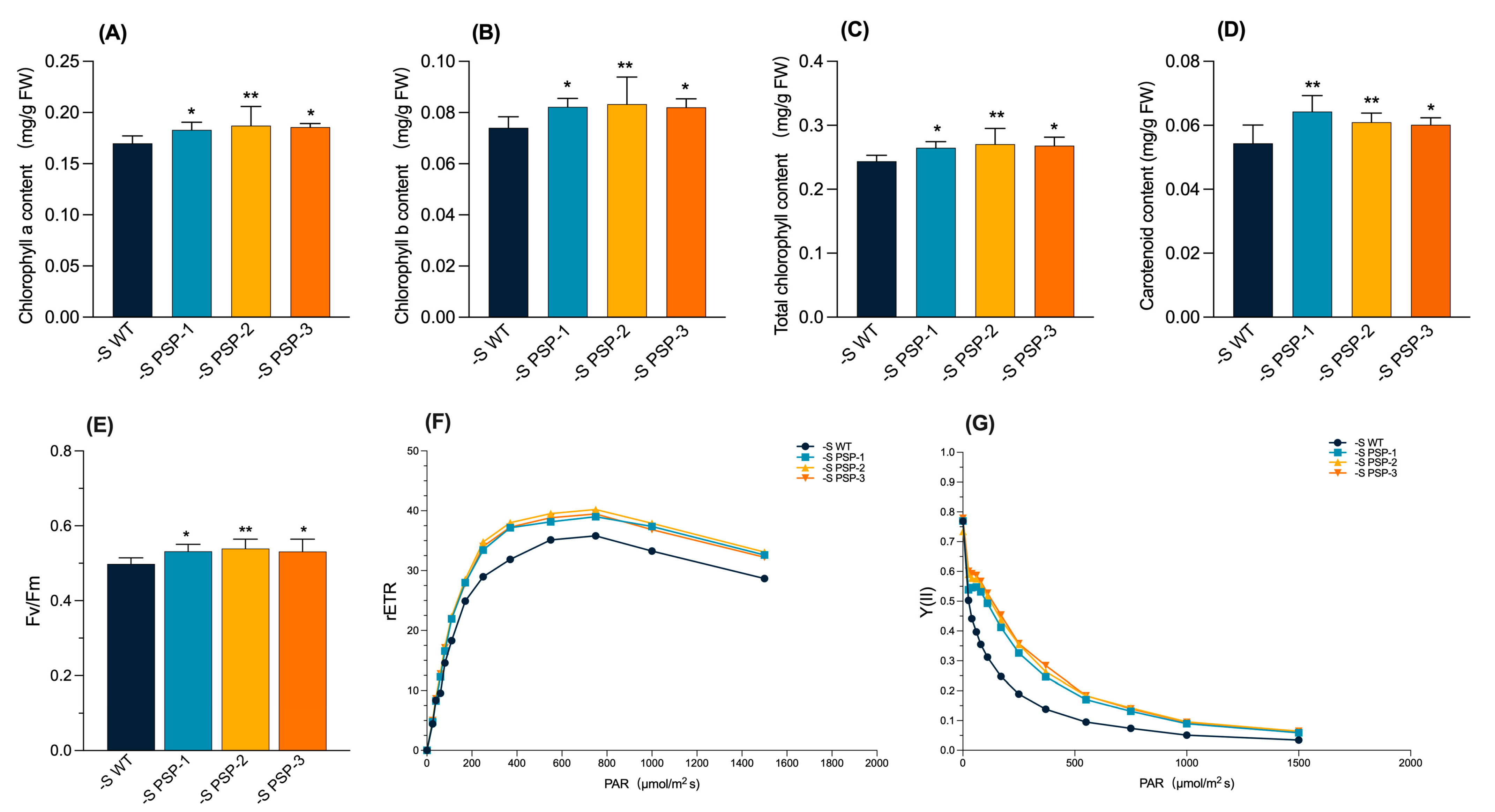 Plants 12 01012 g003