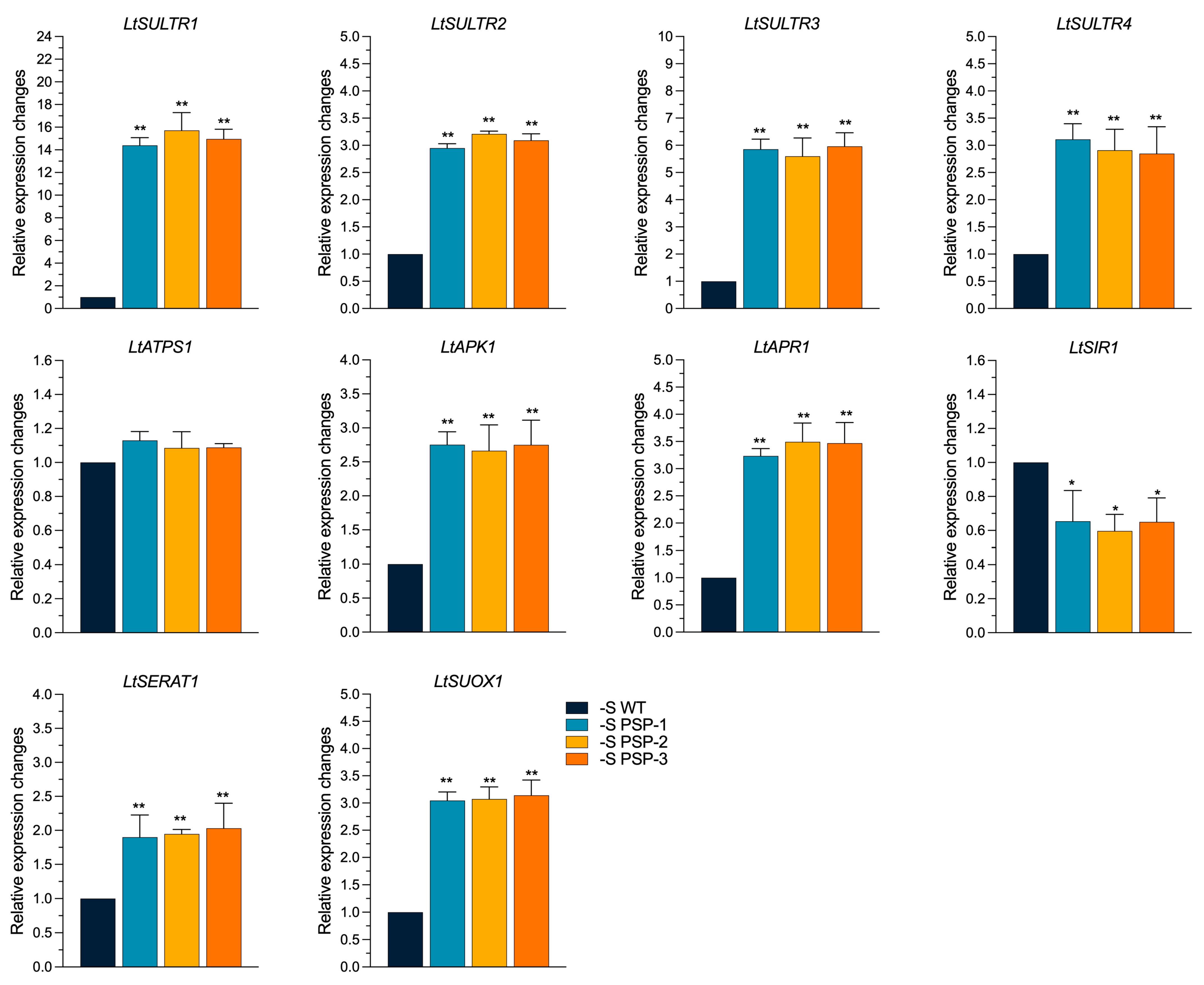 Plants 12 01012 g005