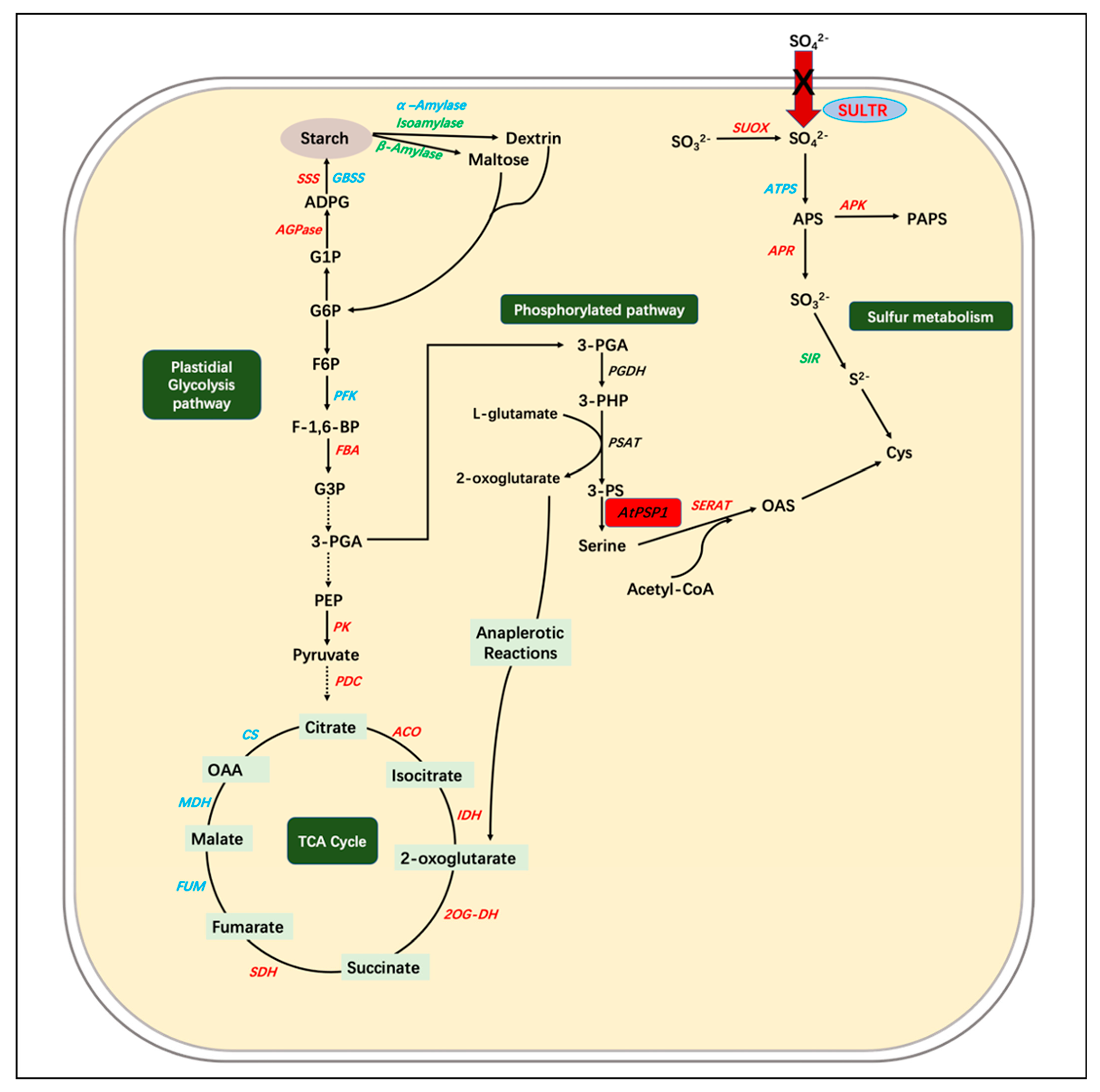 Plants 12 01012 g008