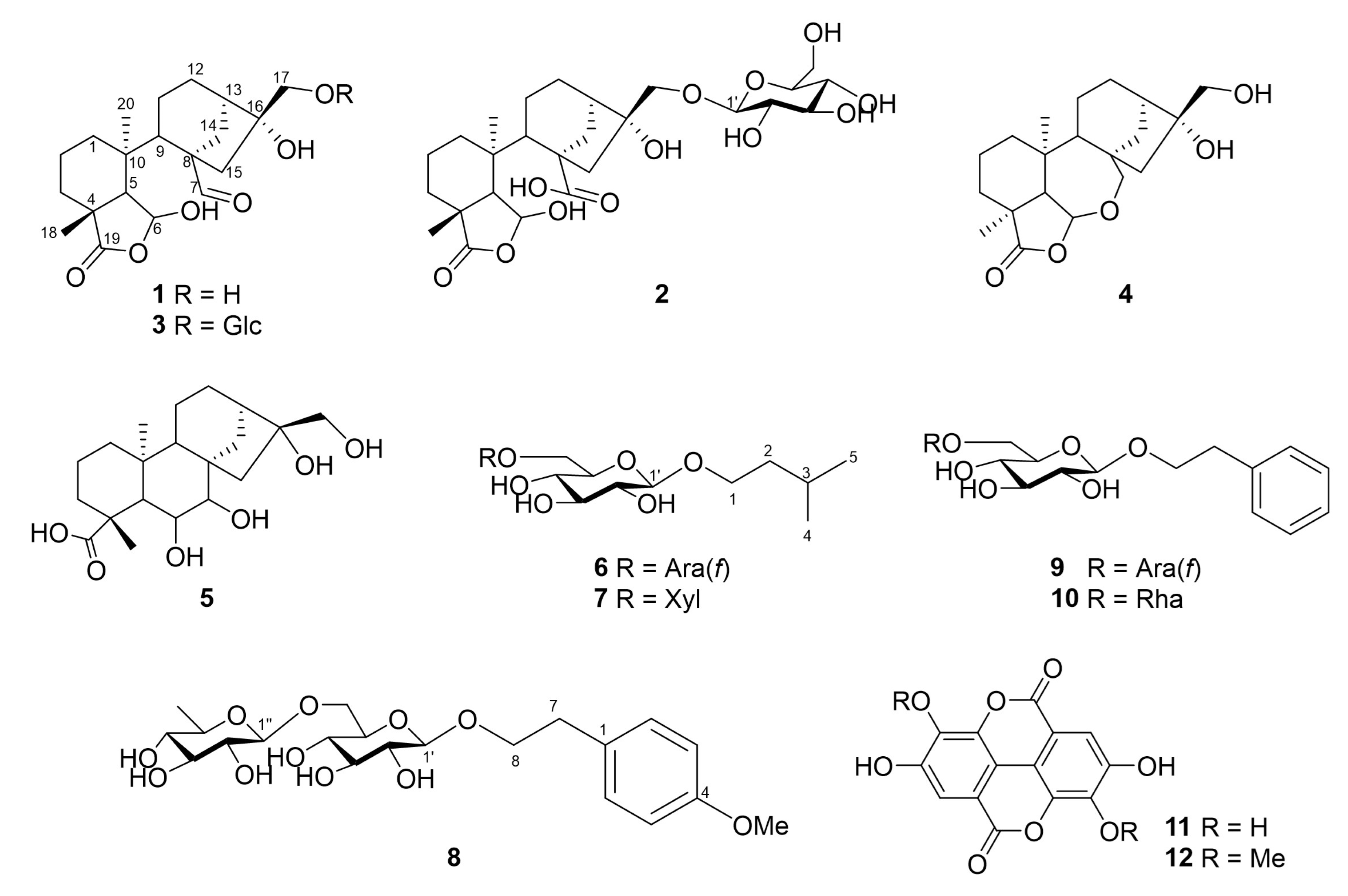 Plants 12 01018 g001 Plants 12 01018 g001