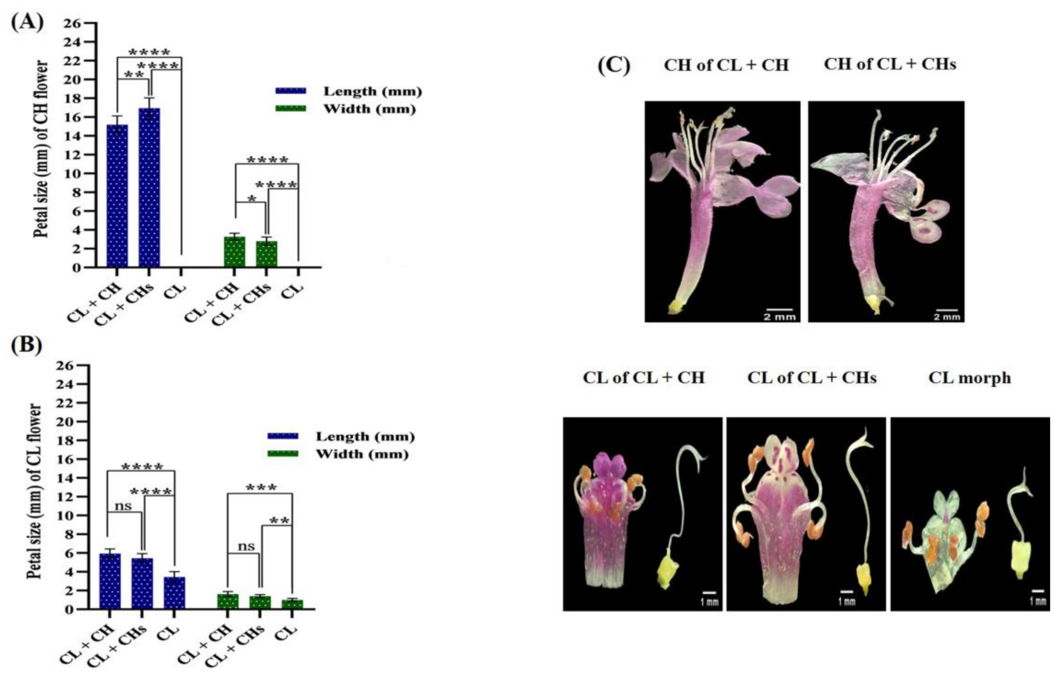 Plants 12 01028 g004