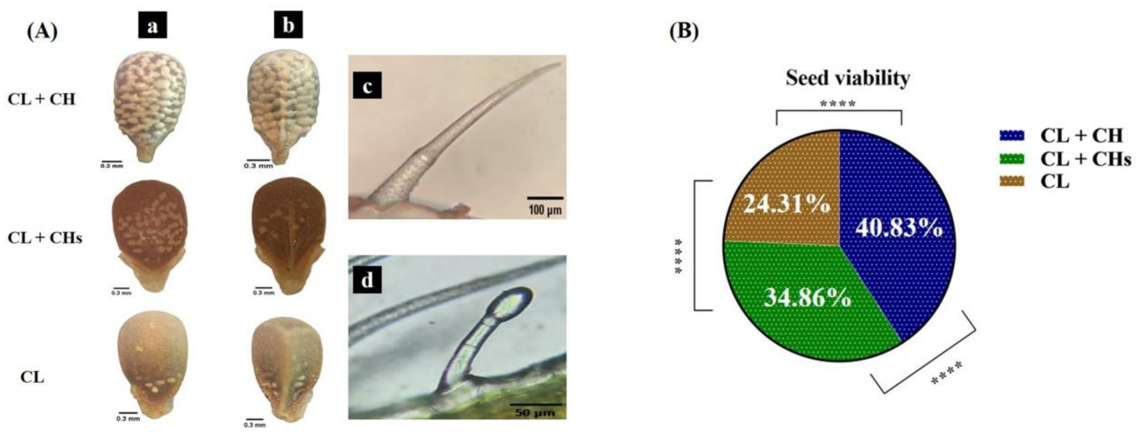 Plants 12 01028 g007