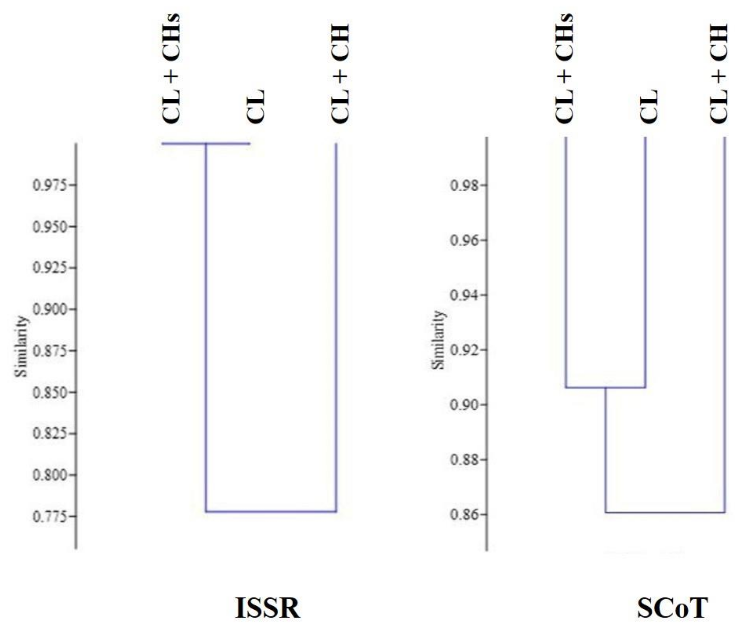 Plants 12 01028 g008