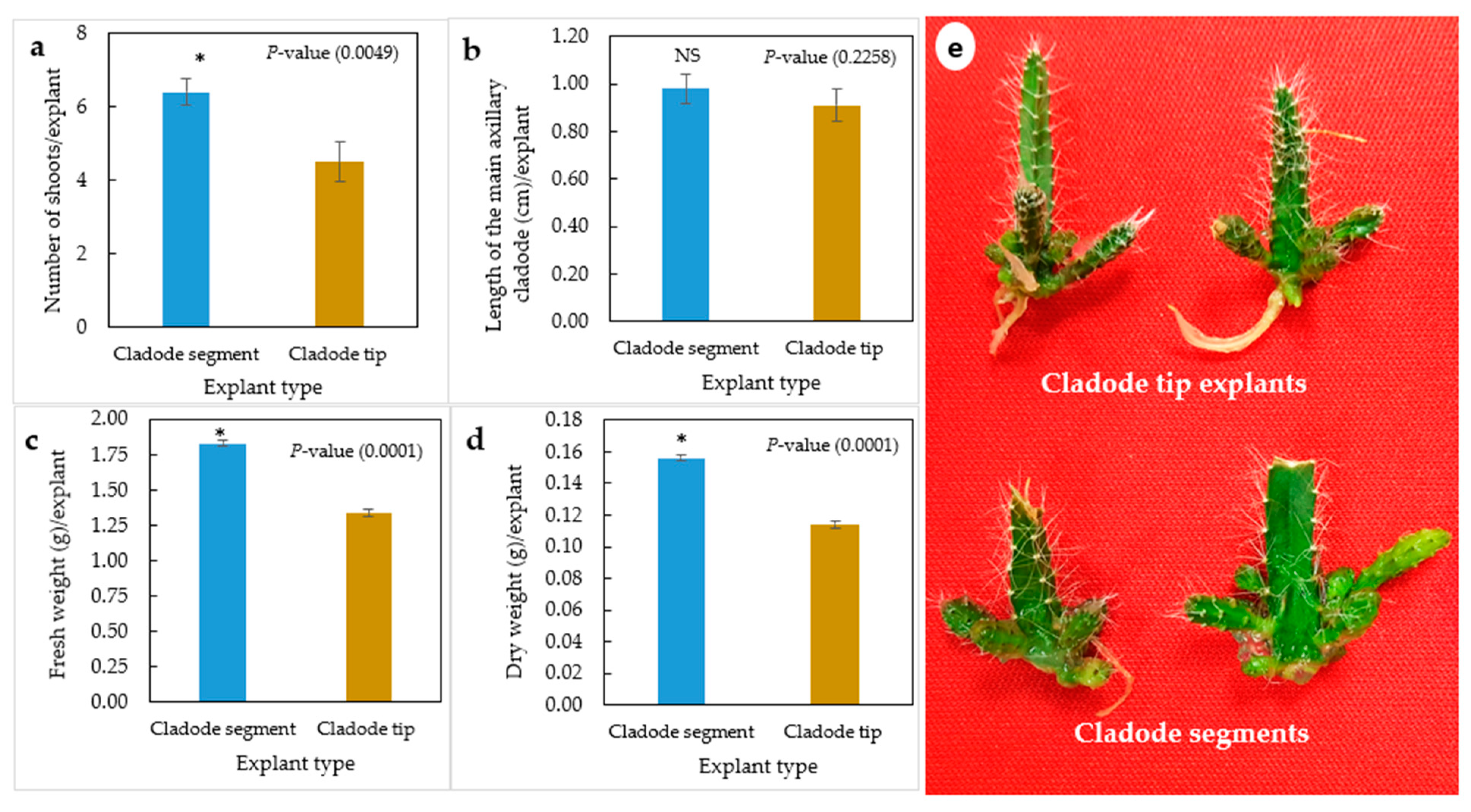 Plants 12 01037 g001