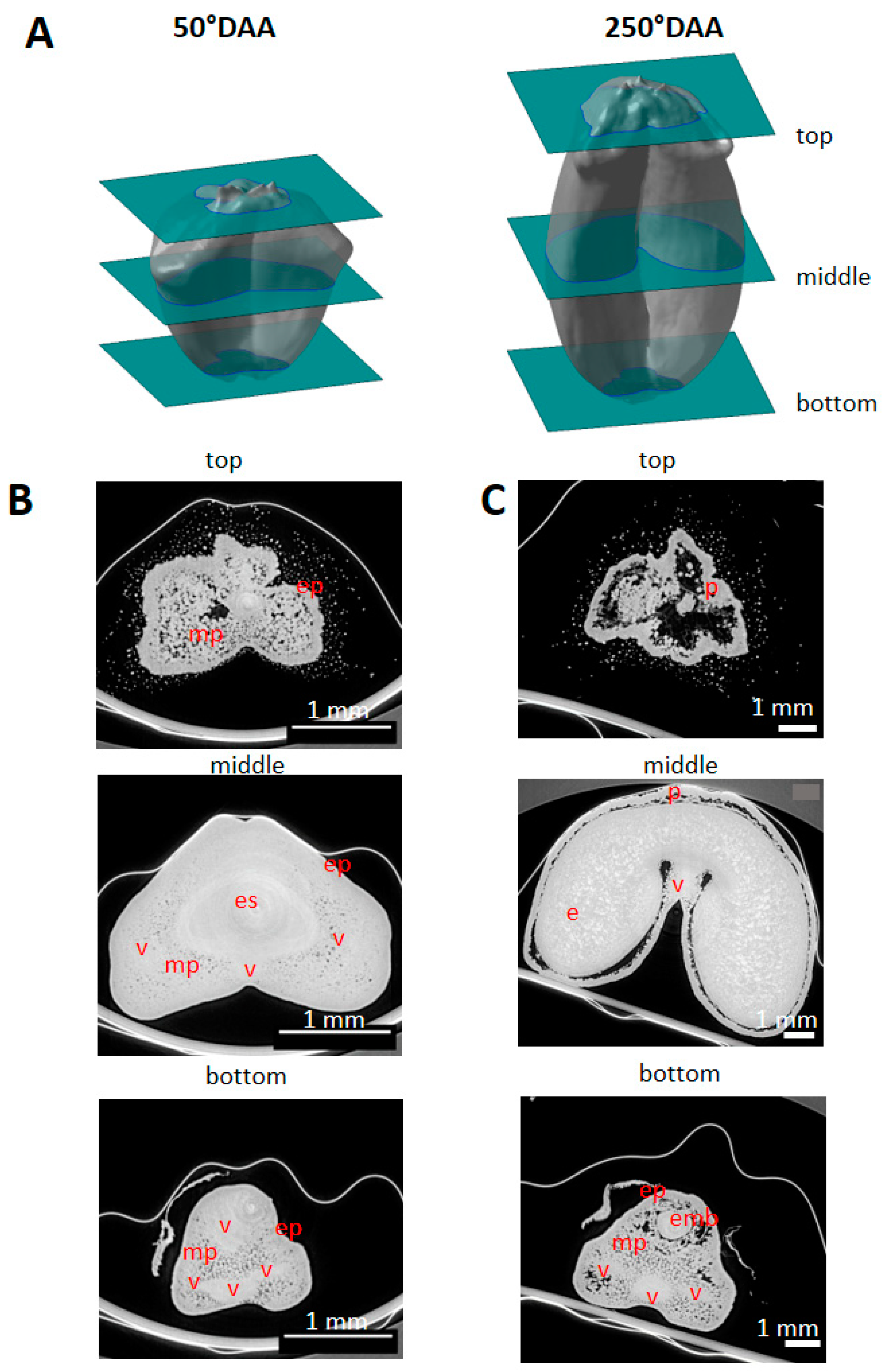 Plants 12 01038 g002