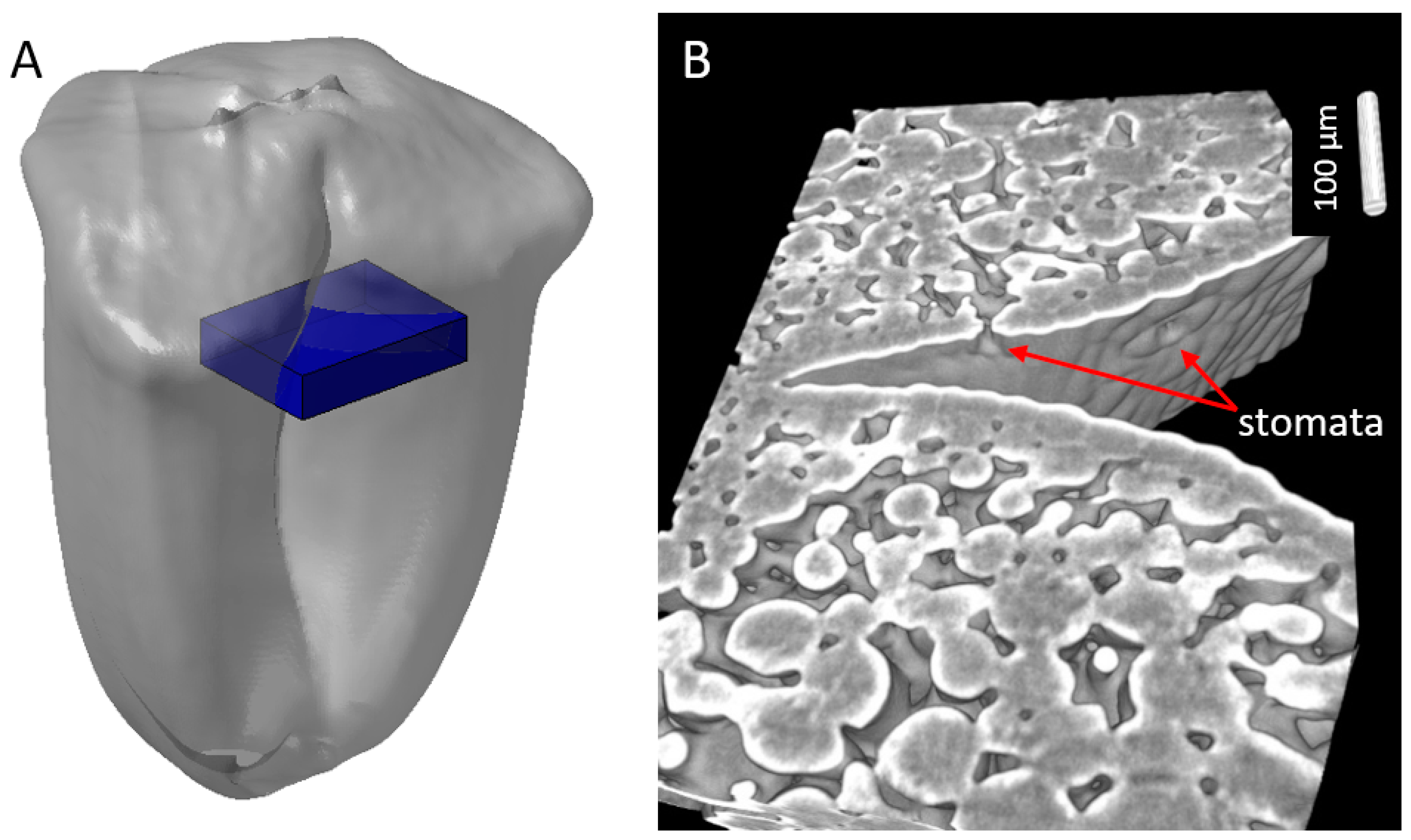 Plants 12 01038 g007