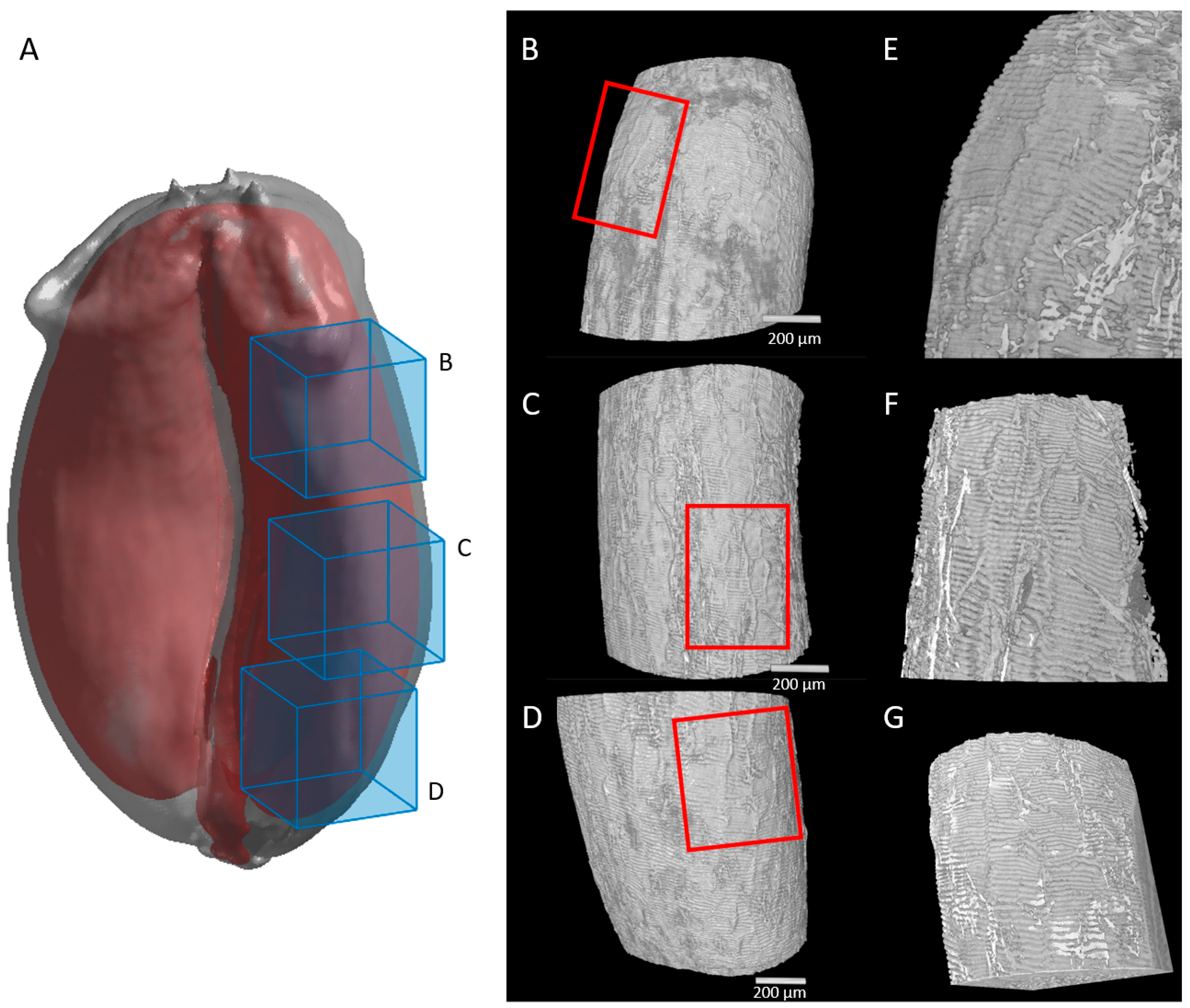 Plants 12 01038 g010
