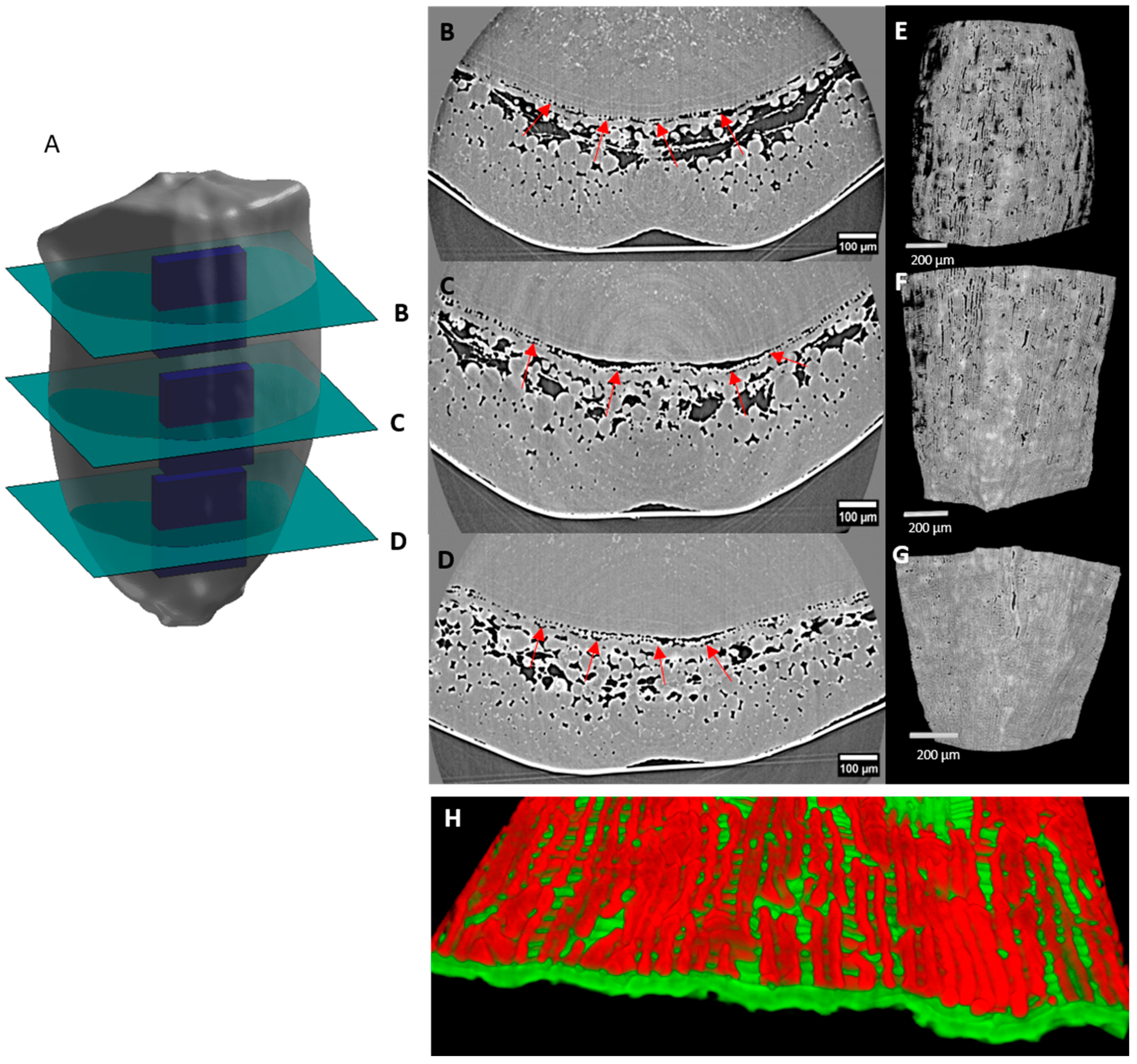Plants 12 01038 g011