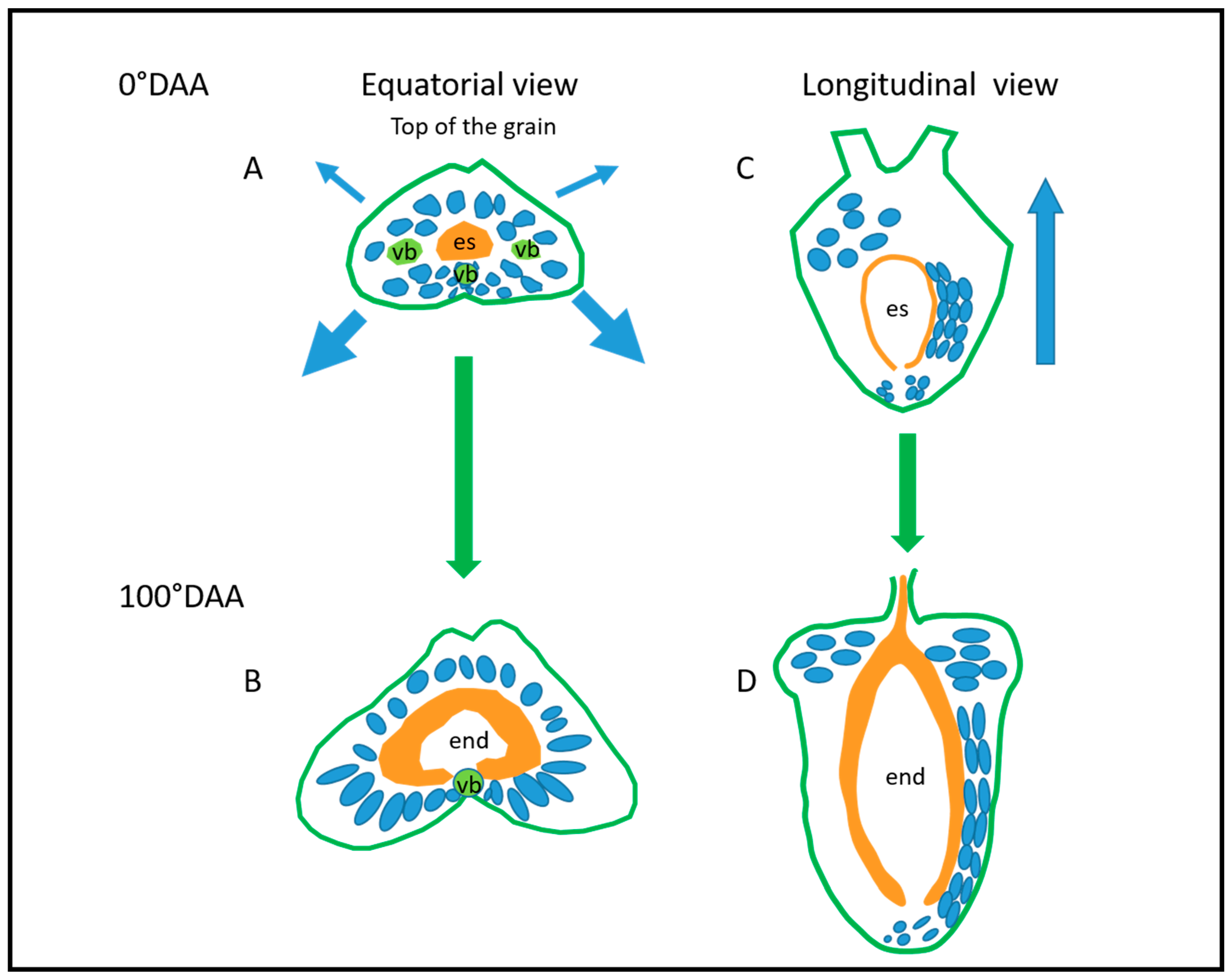 Plants 12 01038 g013