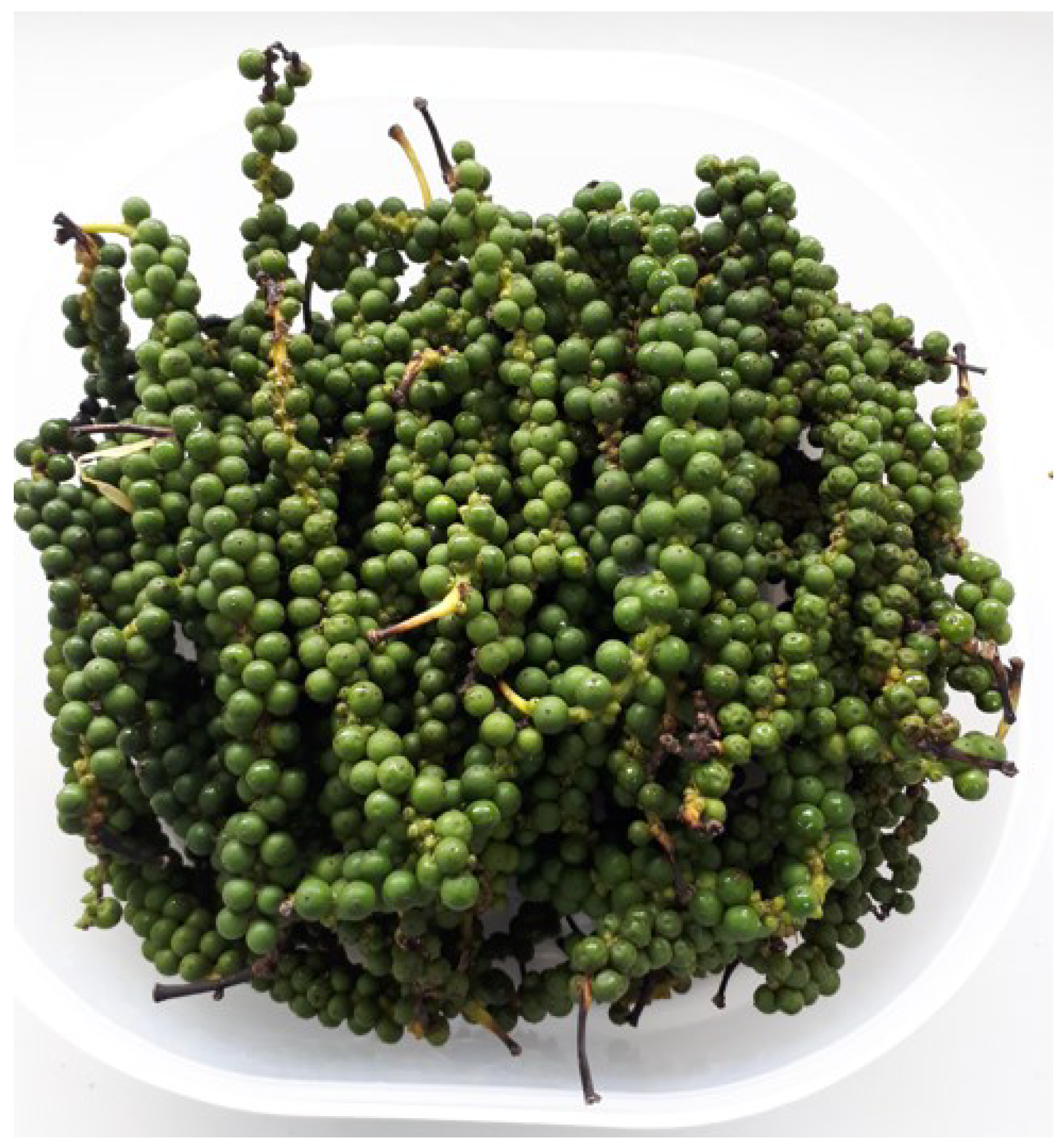 Plants 12 01043 g002 Plants 12 01043 g002