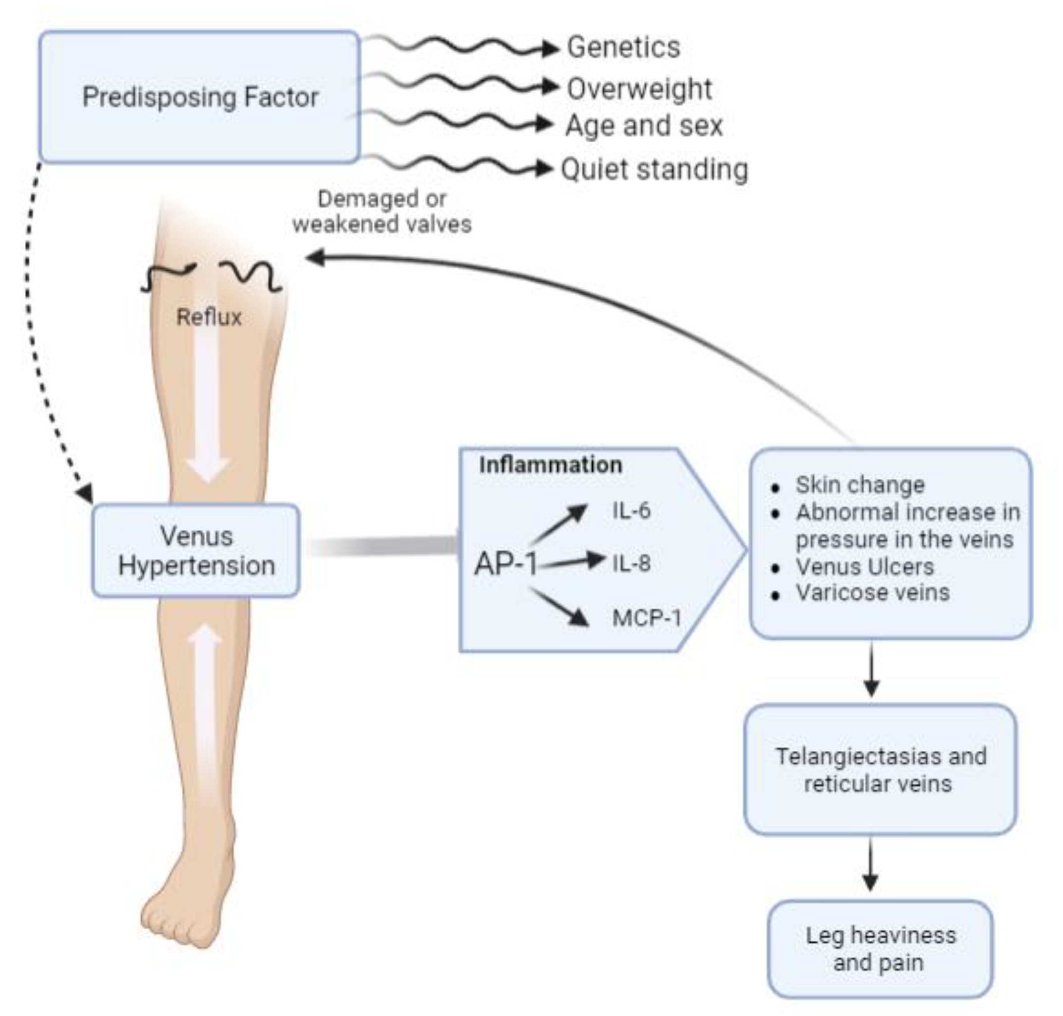 Plants 12 01051 g001
