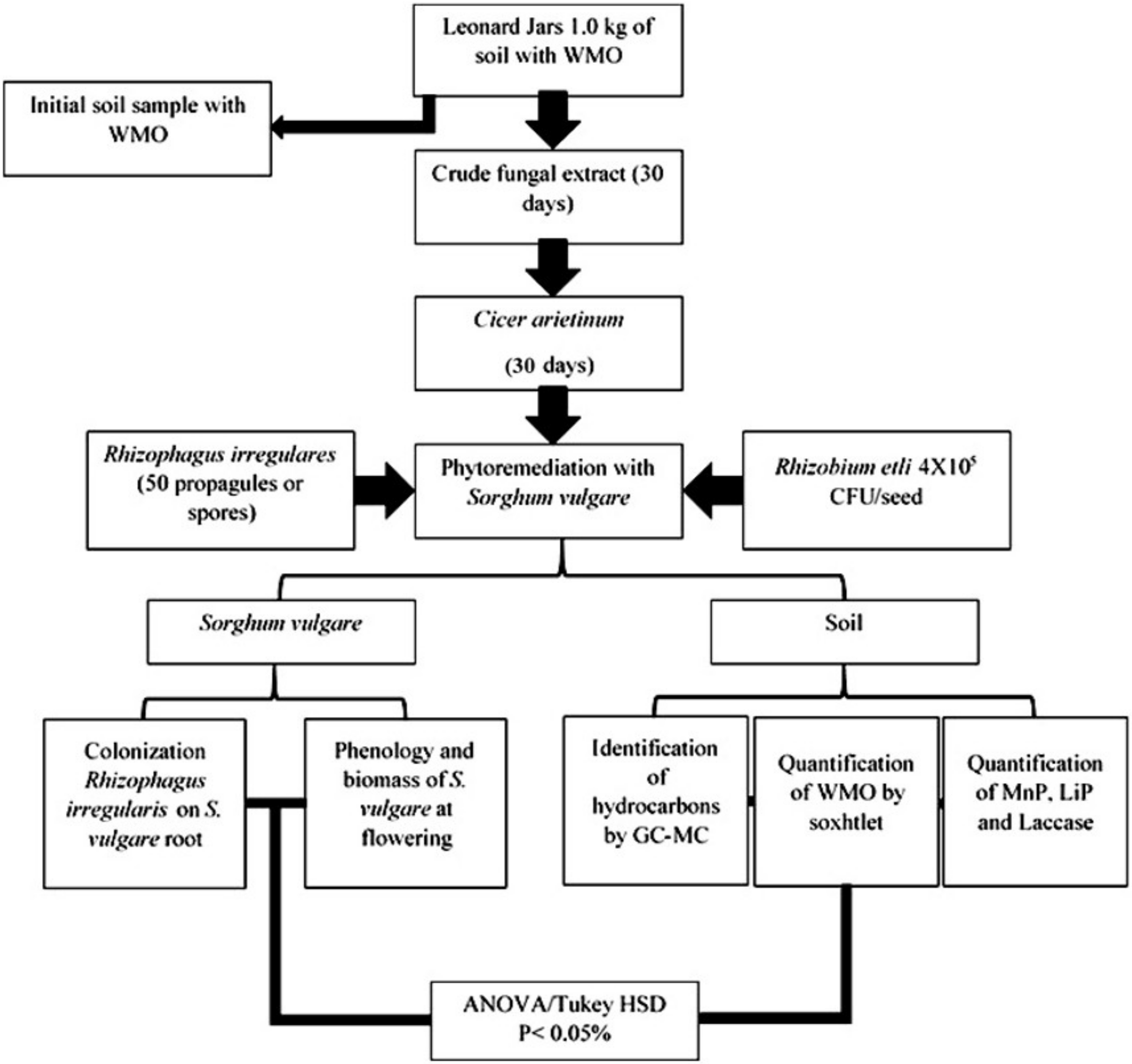 Plants 12 01053 g010
