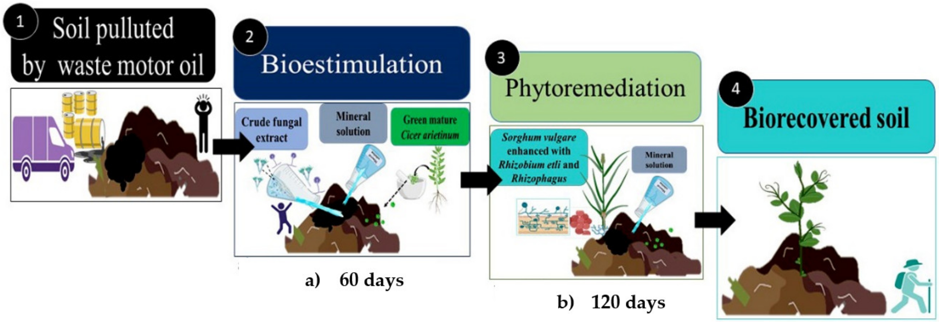 Plants 12 01053 g011