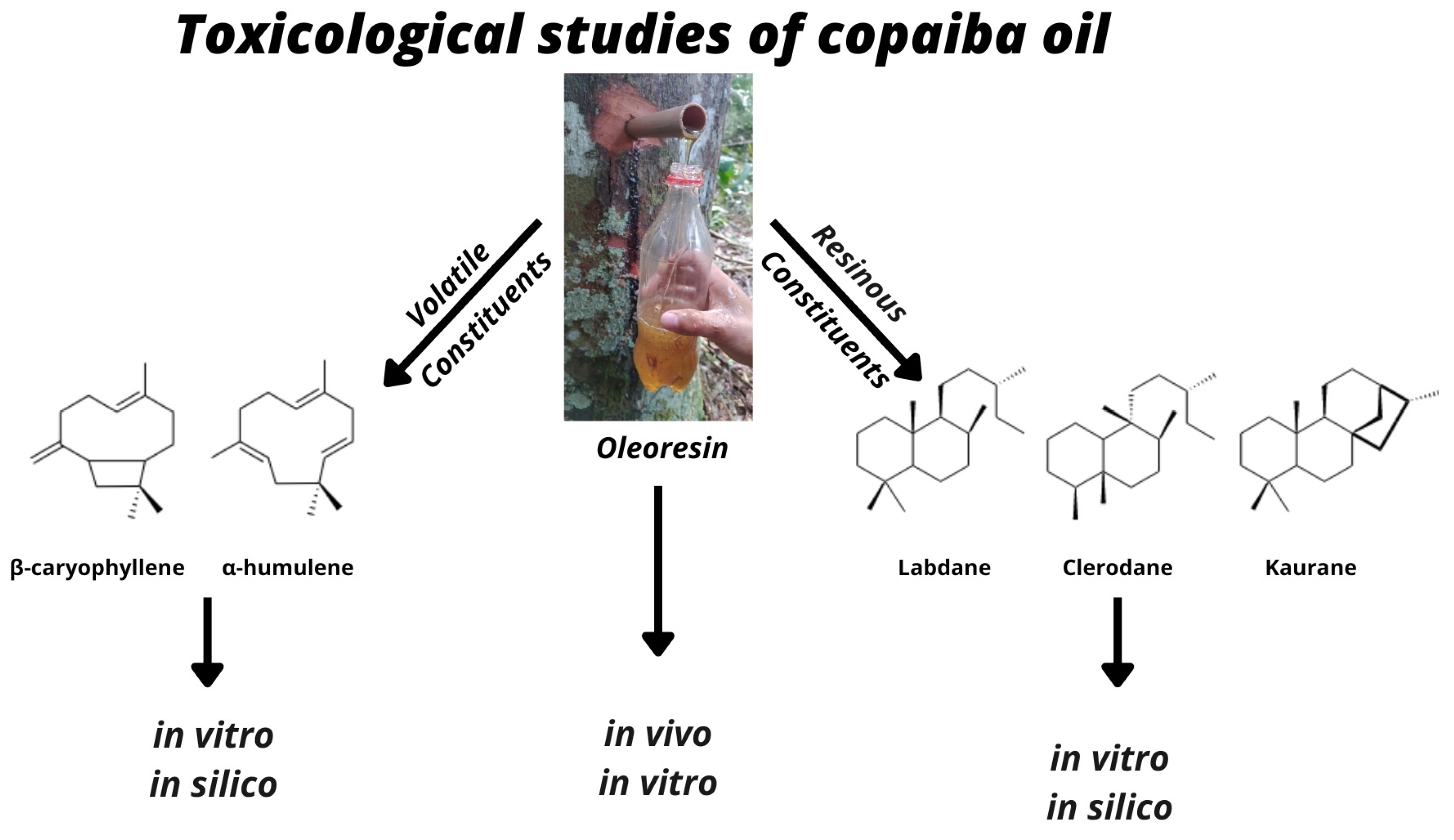 Plants 12 01054 g001 Plants 12 01054 g001