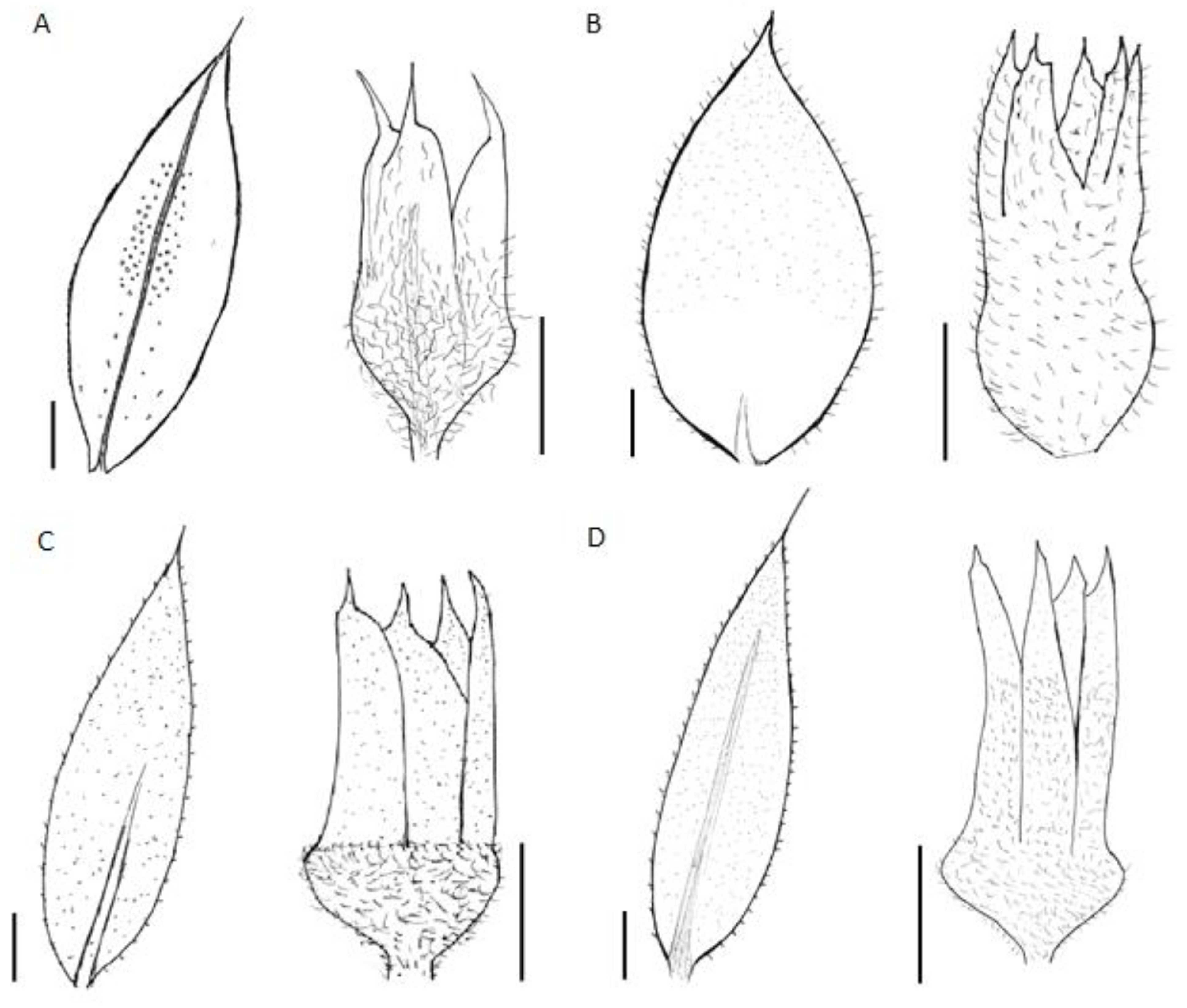 Plants 12 01064 g005