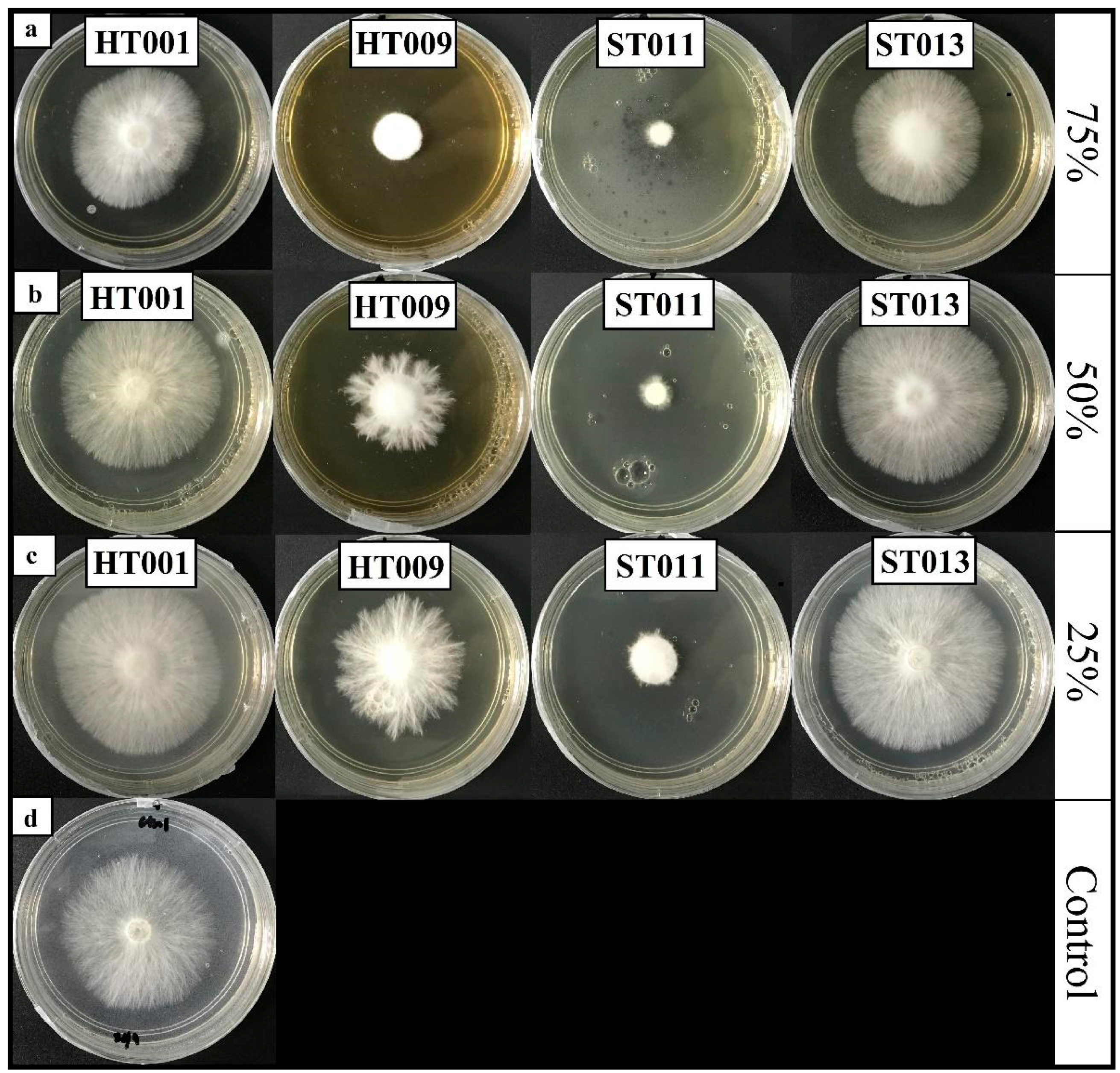 Plants 12 01066 g002