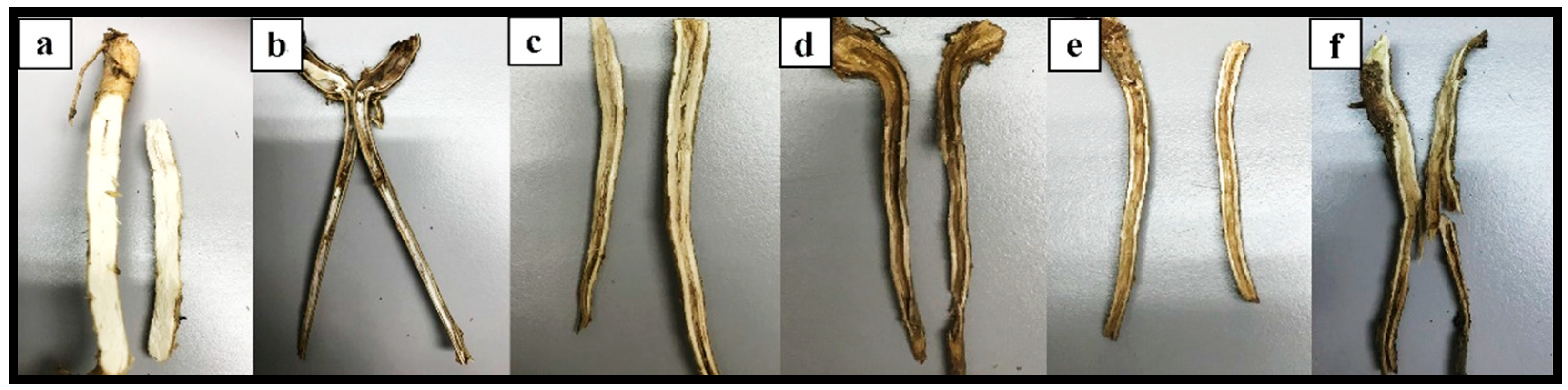 Plants 12 01066 g006