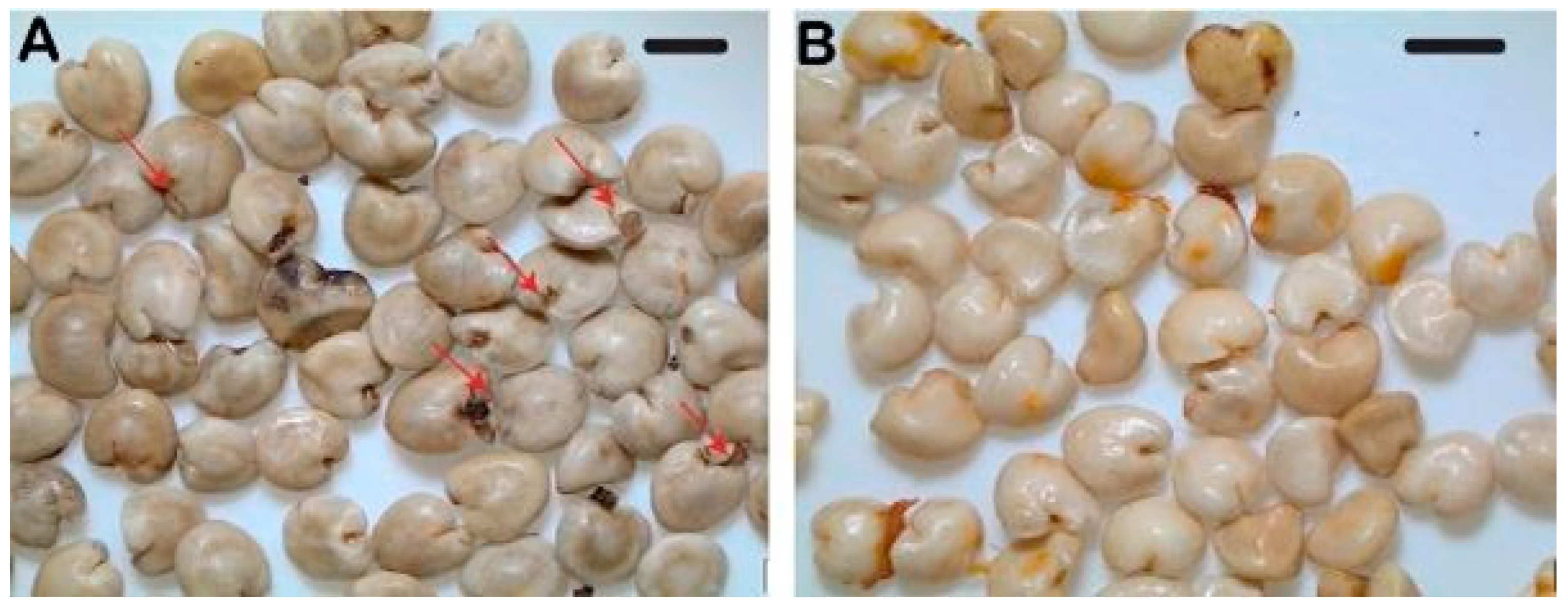 Plants 12 01067 g003 Plants 12 01067 g003