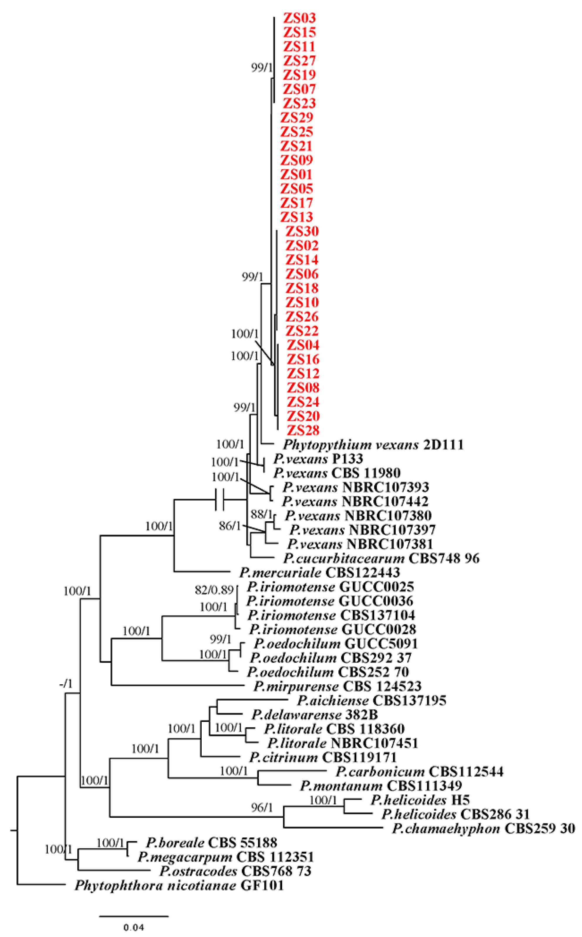 Plants 12 01072 g002