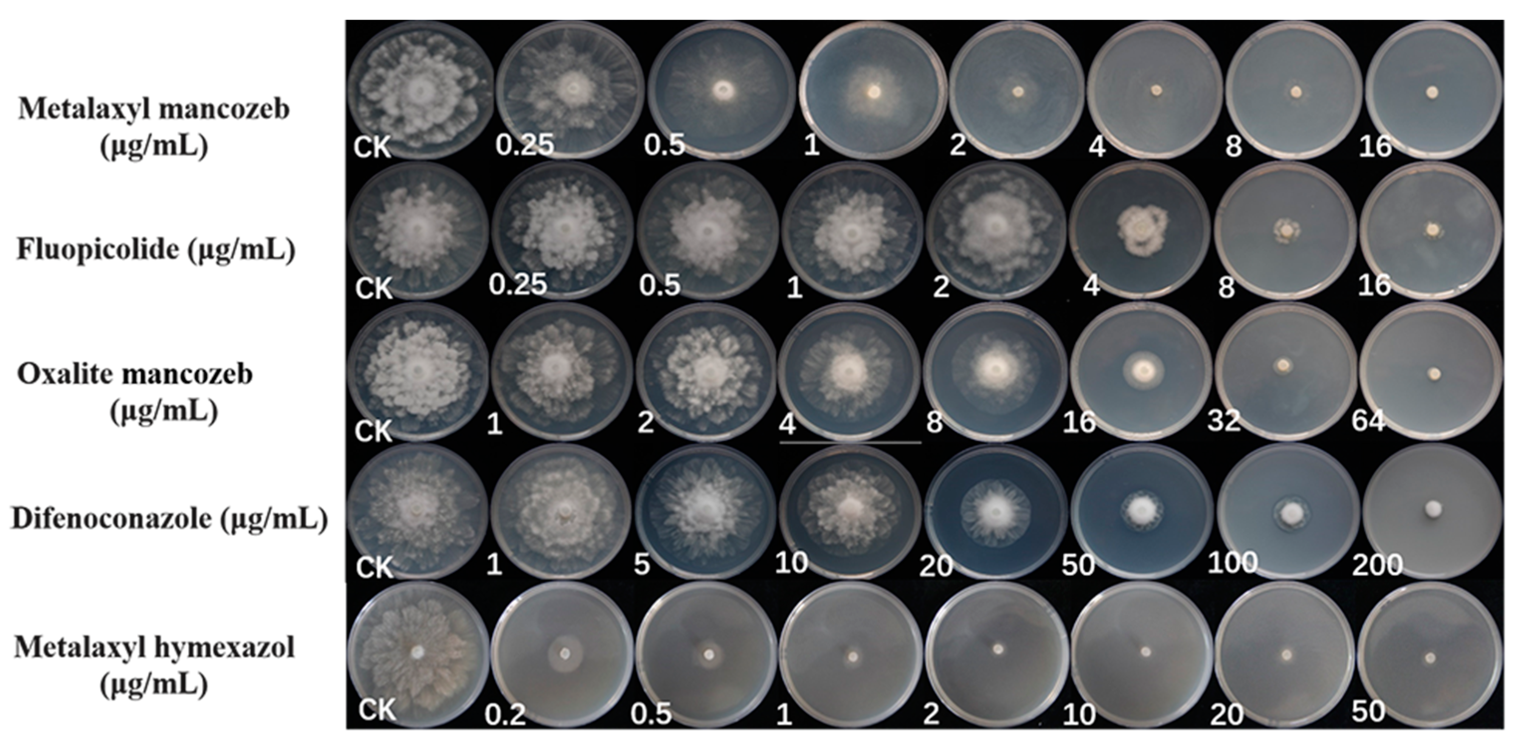 Plants 12 01072 g008