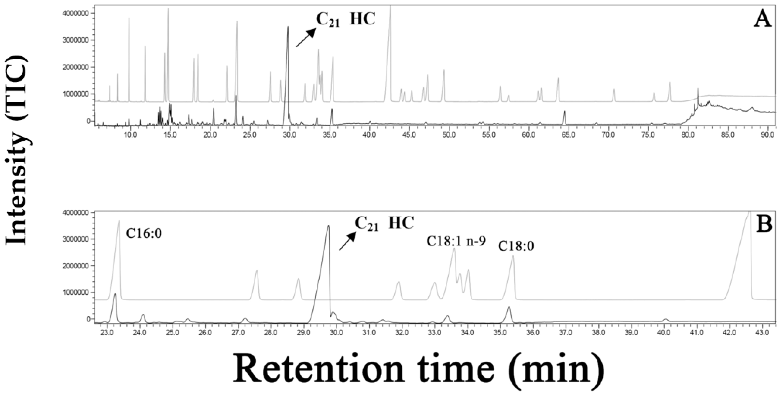 Plants 12 01073 g006 Plants 12 01073 g006