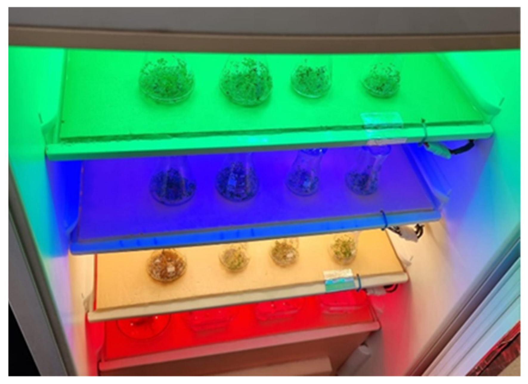 Plants 12 01075 g001