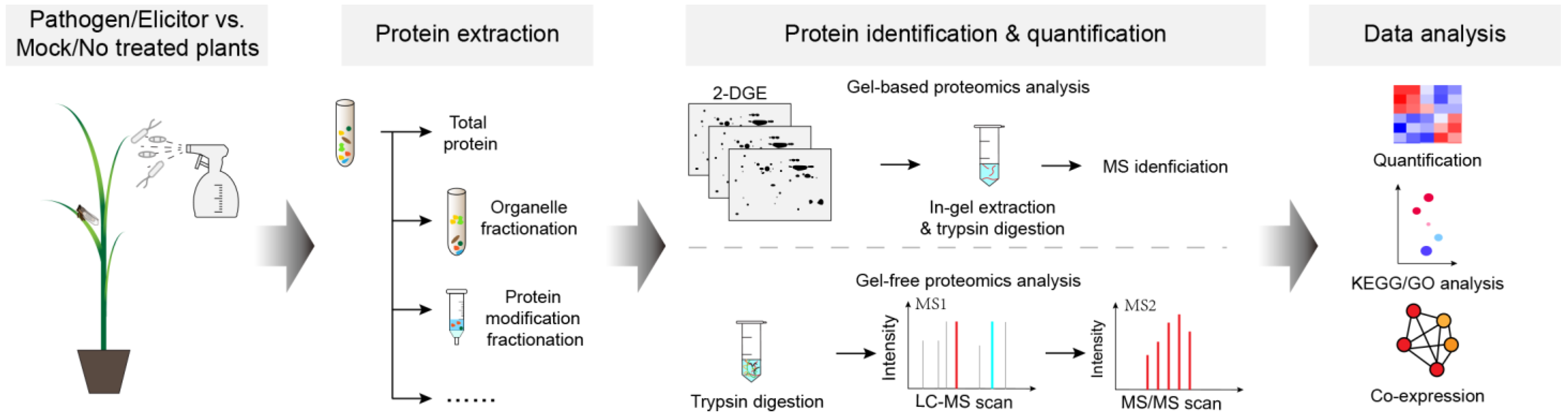 Plants 12 01079 g001 Plants 12 01079 g001