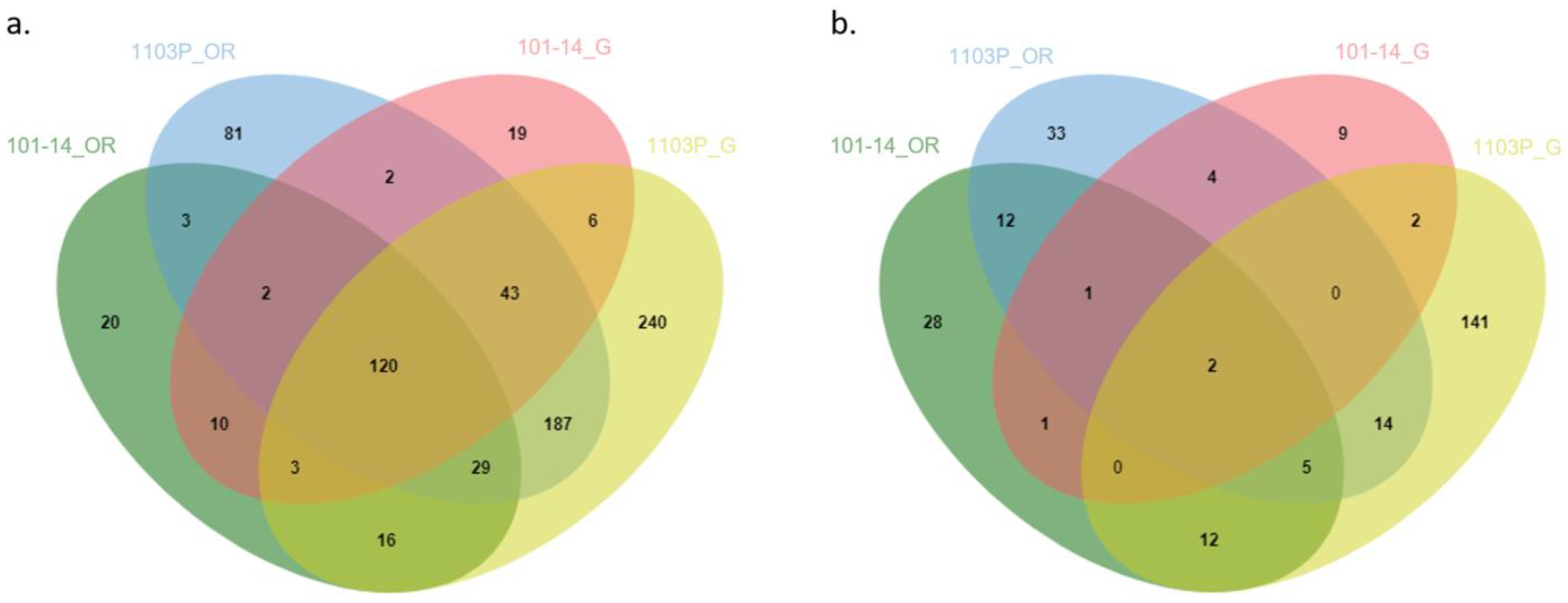 Plants 12 01080 g005 Plants 12 01080 g005