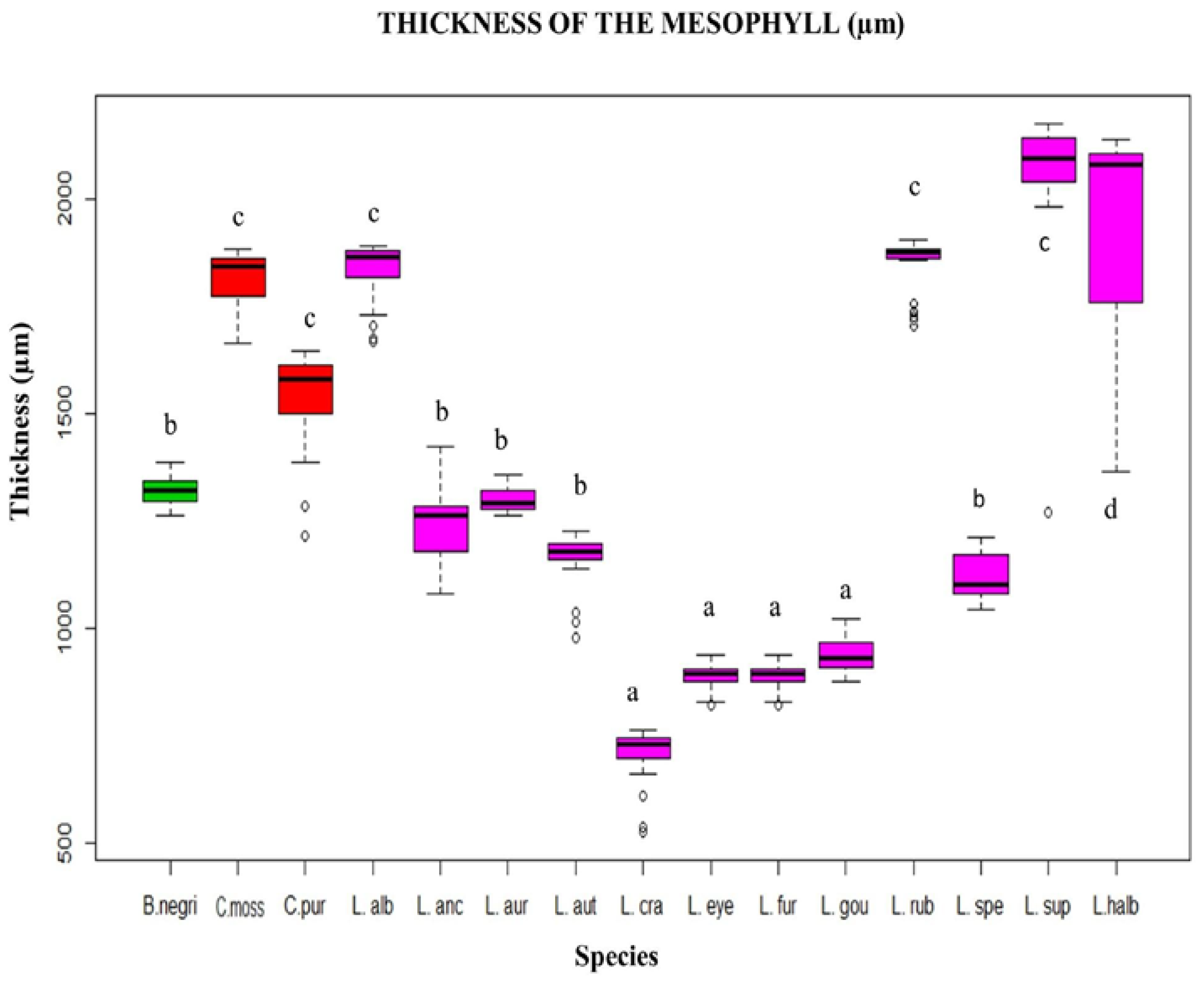 Plants 12 01089 g002