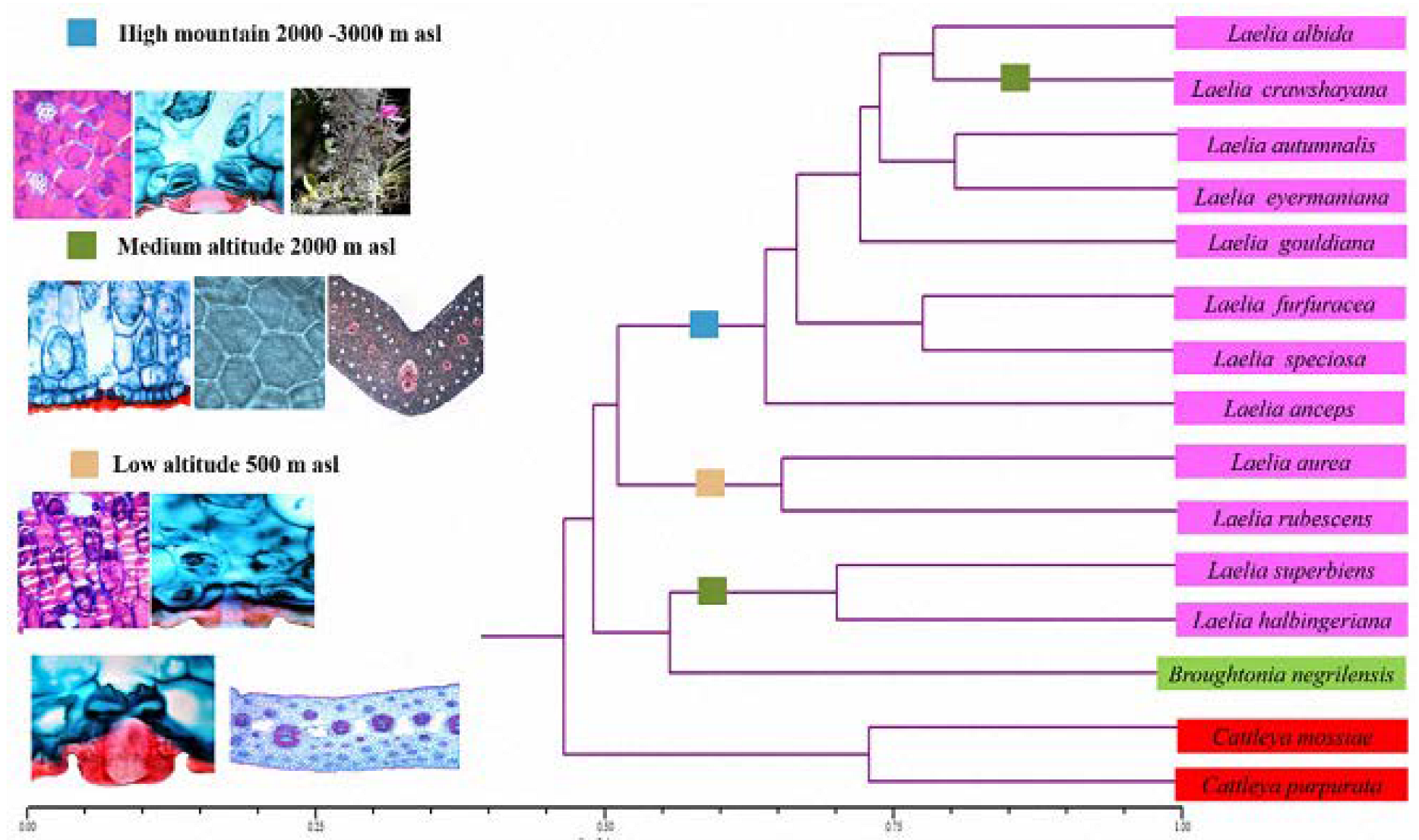 Plants 12 01089 g008