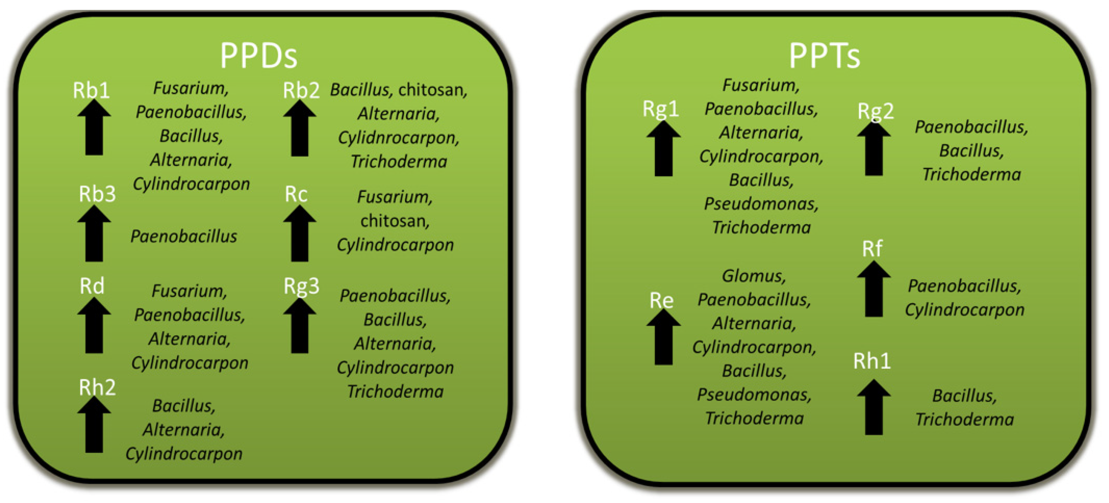 Plants 12 01091 g009