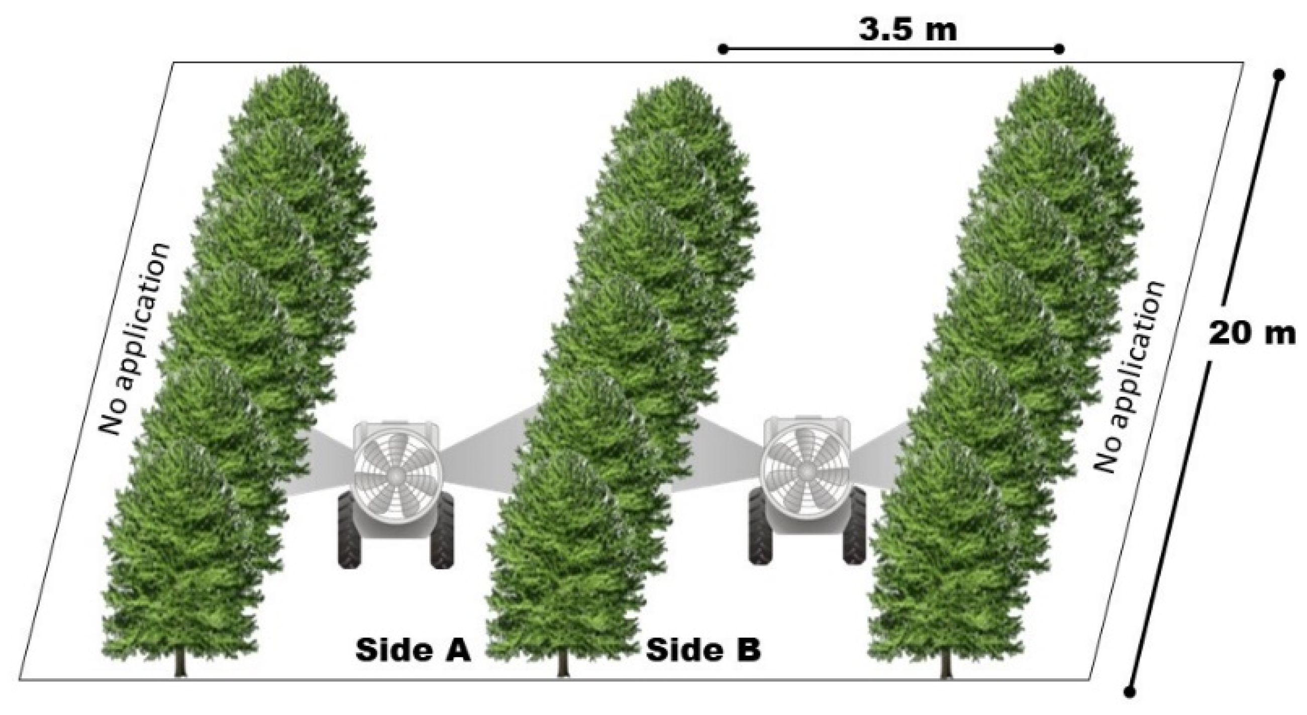 Plants 12 01093 g006