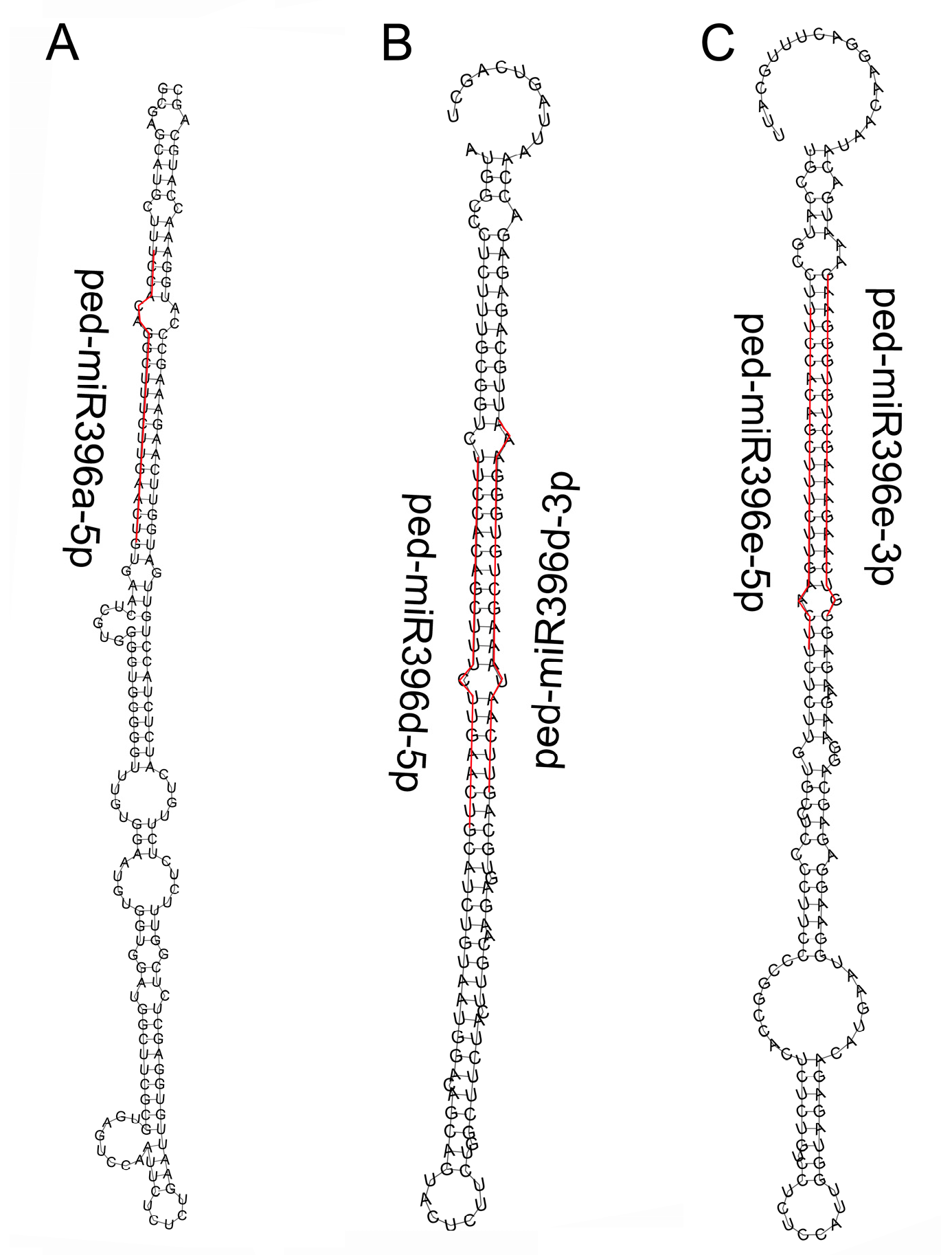 Plants 12 01103 g001