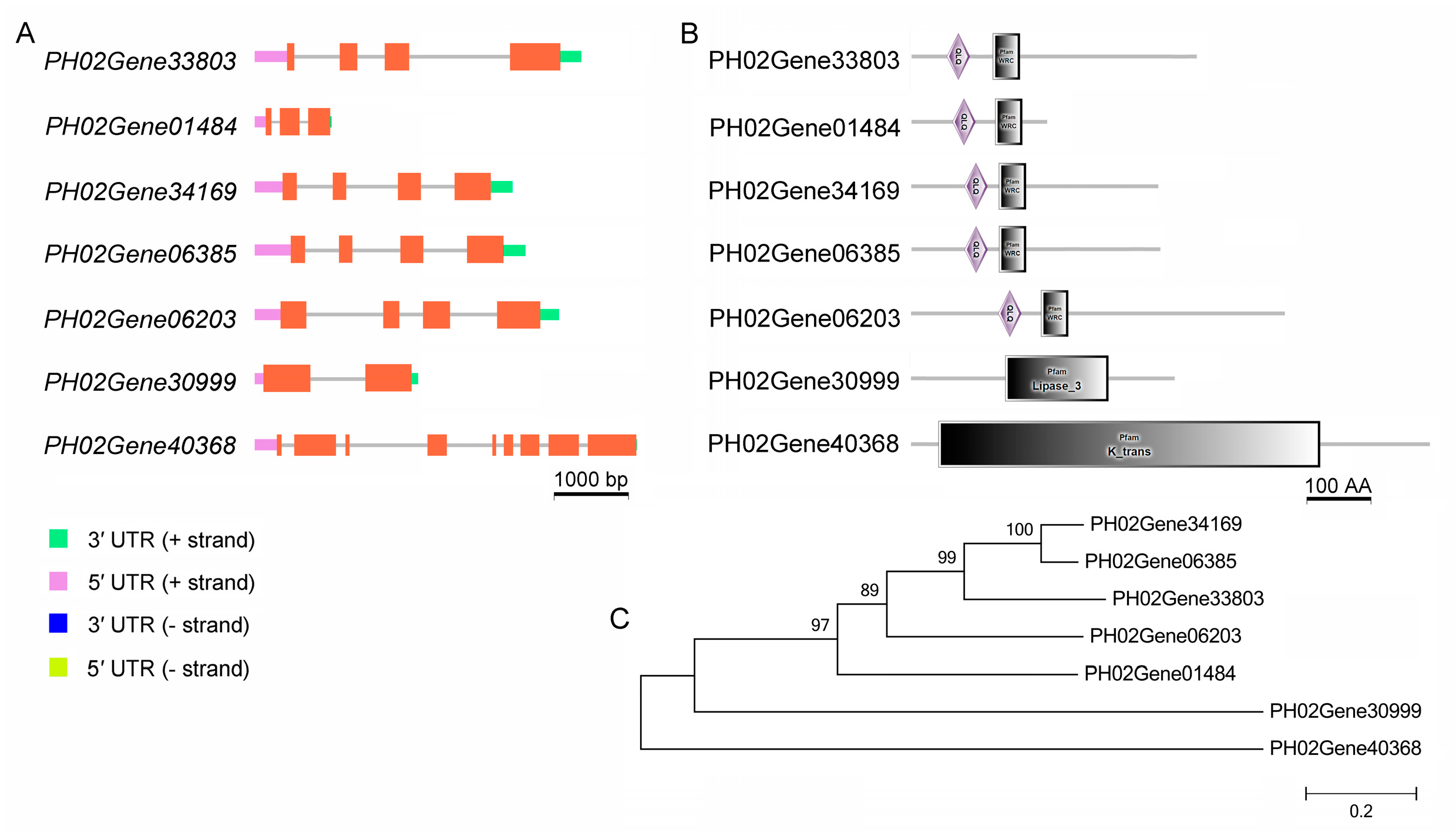 Plants 12 01103 g004