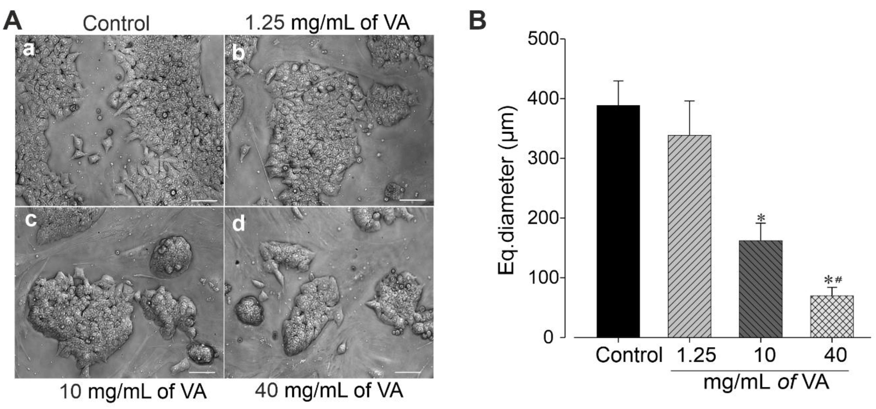 Plants 12 01108 g003 Plants 12 01108 g003