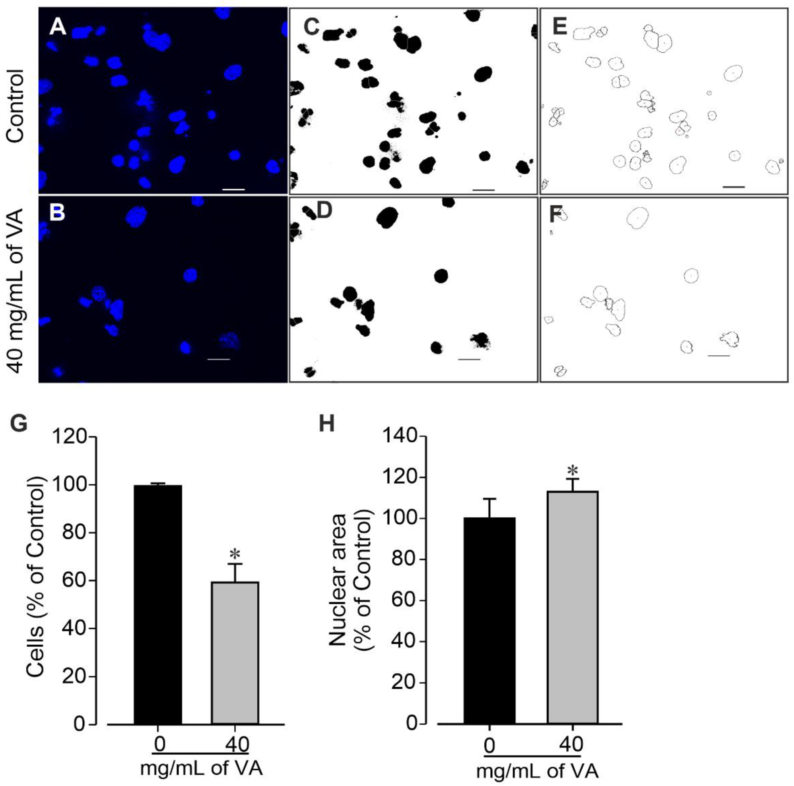 Plants 12 01108 g004 Plants 12 01108 g004