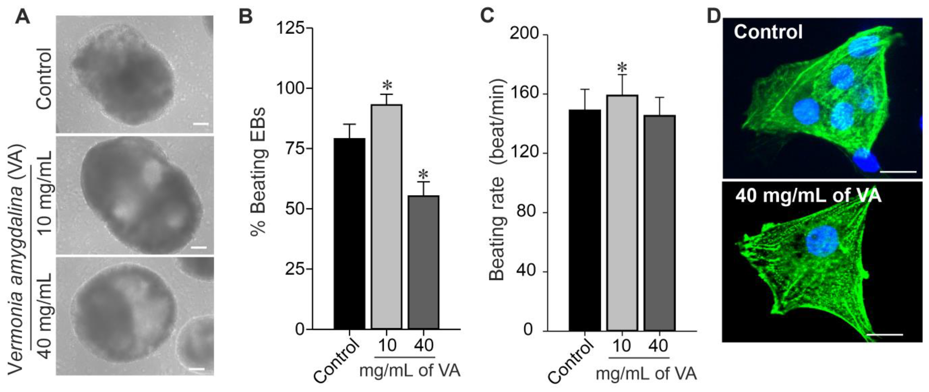 Plants 12 01108 g005 Plants 12 01108 g005