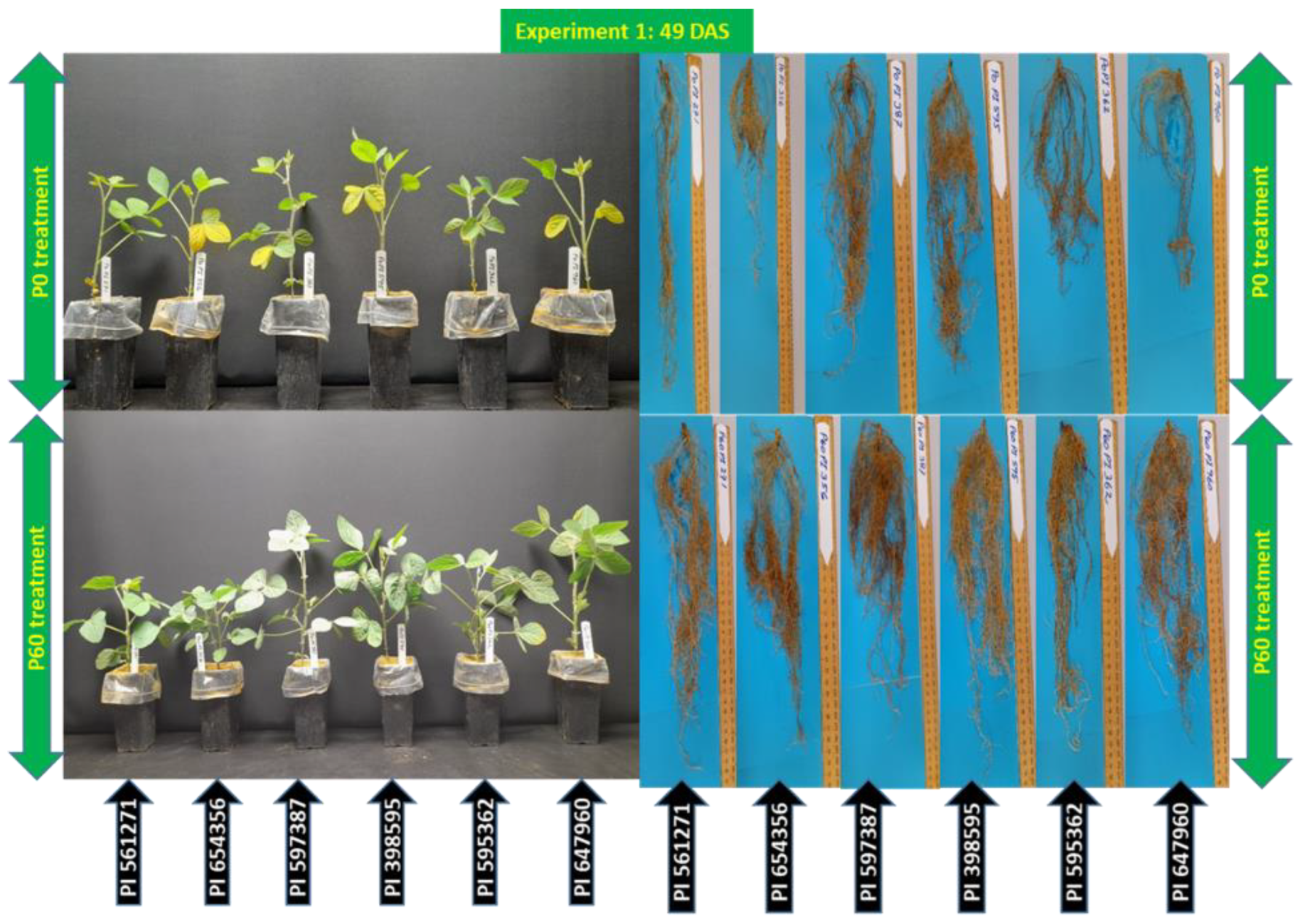 Plants 12 01110 g001