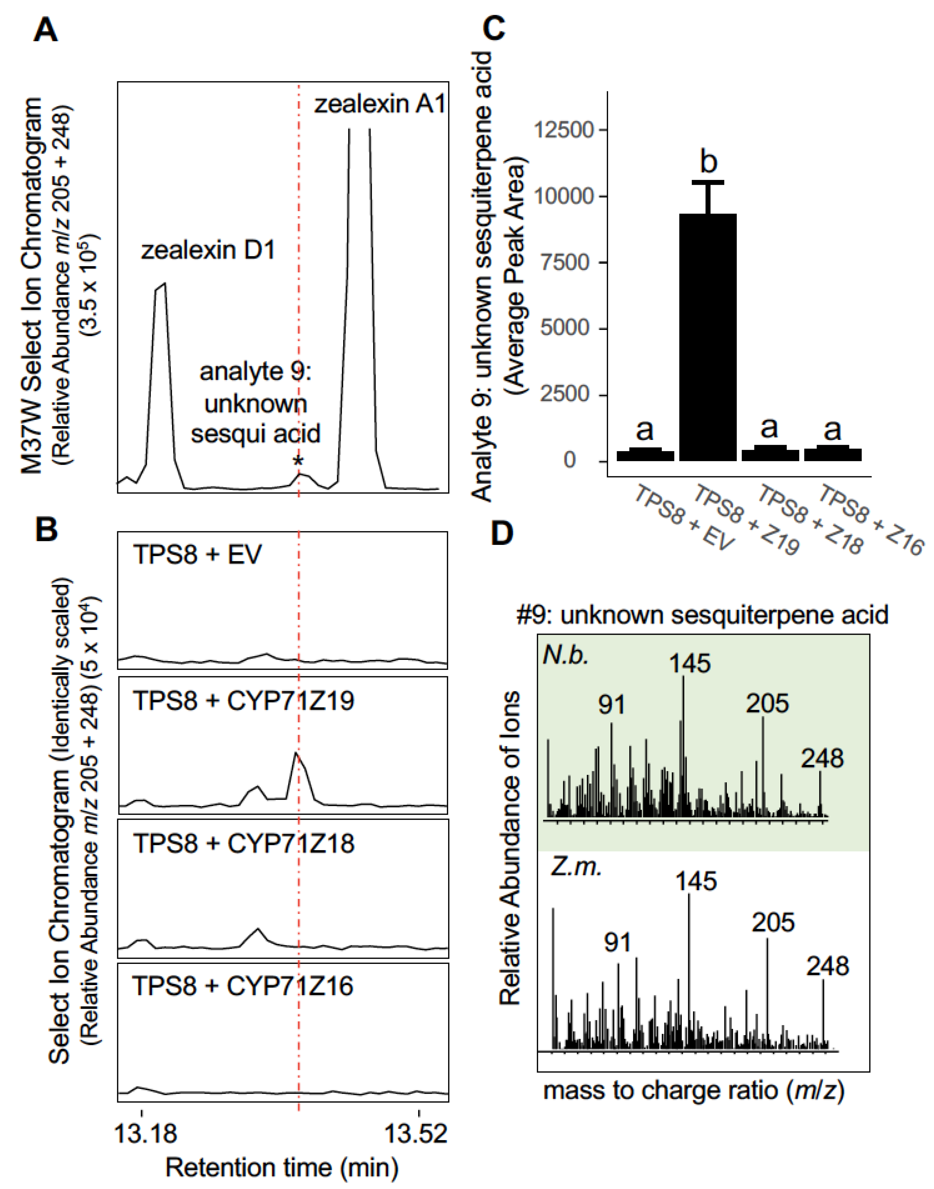 Plants | Free Full-Text | Maize Terpene Synthase 8 (ZmTPS8 