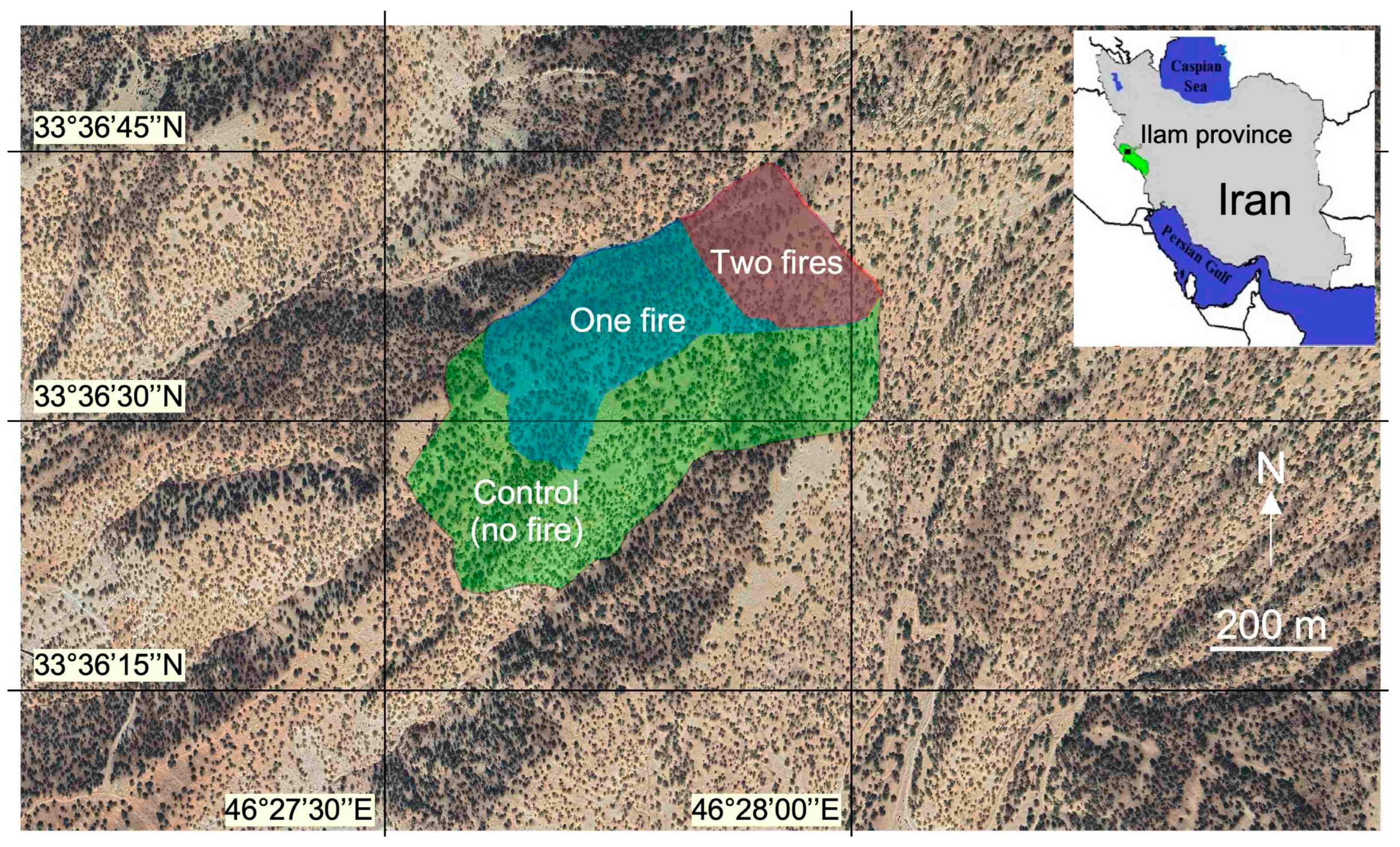 Plants 12 01112 g001 Plants 12 01112 g001