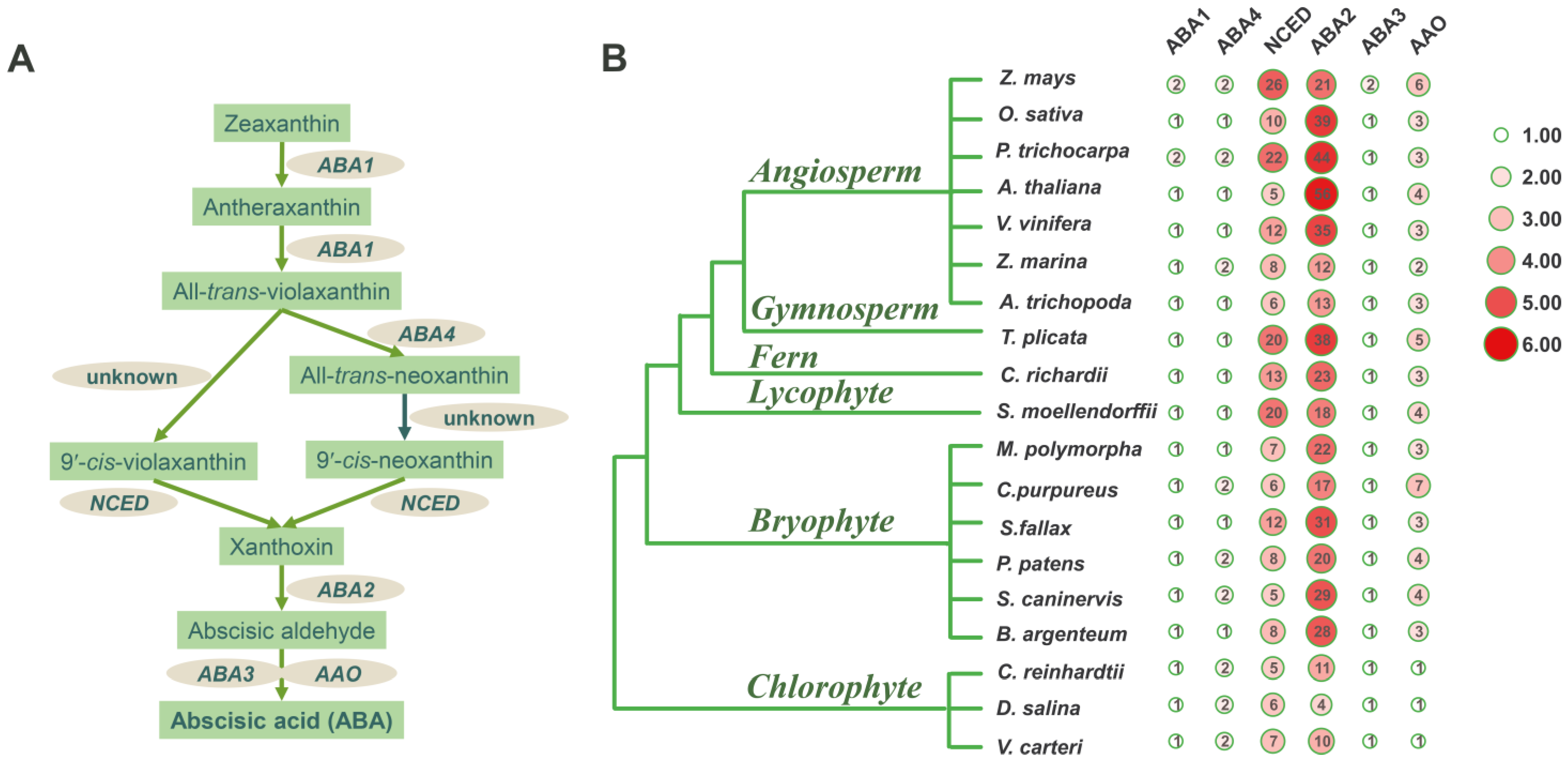 Plants 12 01114 g001 Plants 12 01114 g001