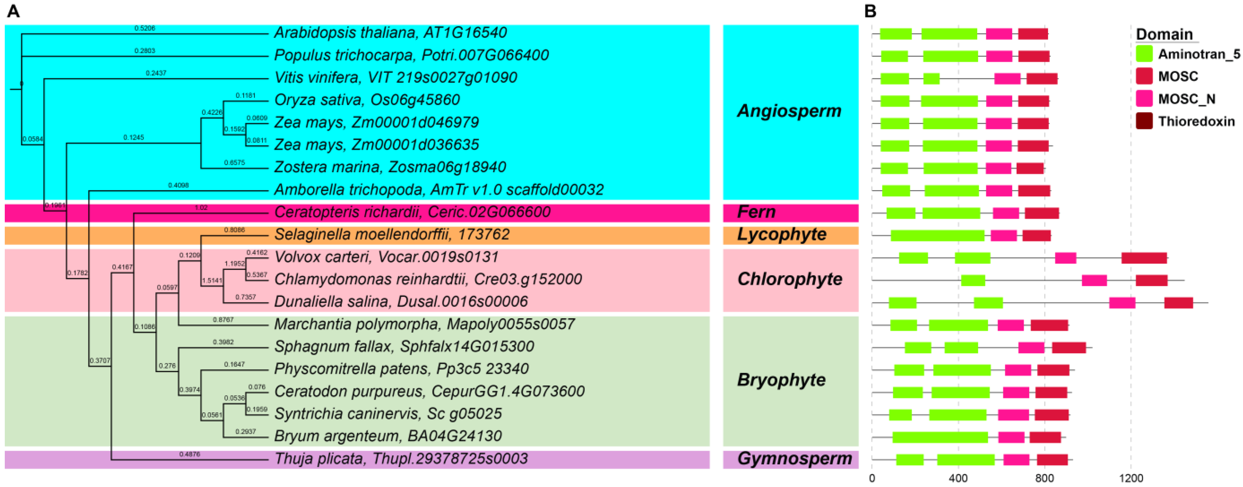 Plants 12 01114 g004 Plants 12 01114 g004
