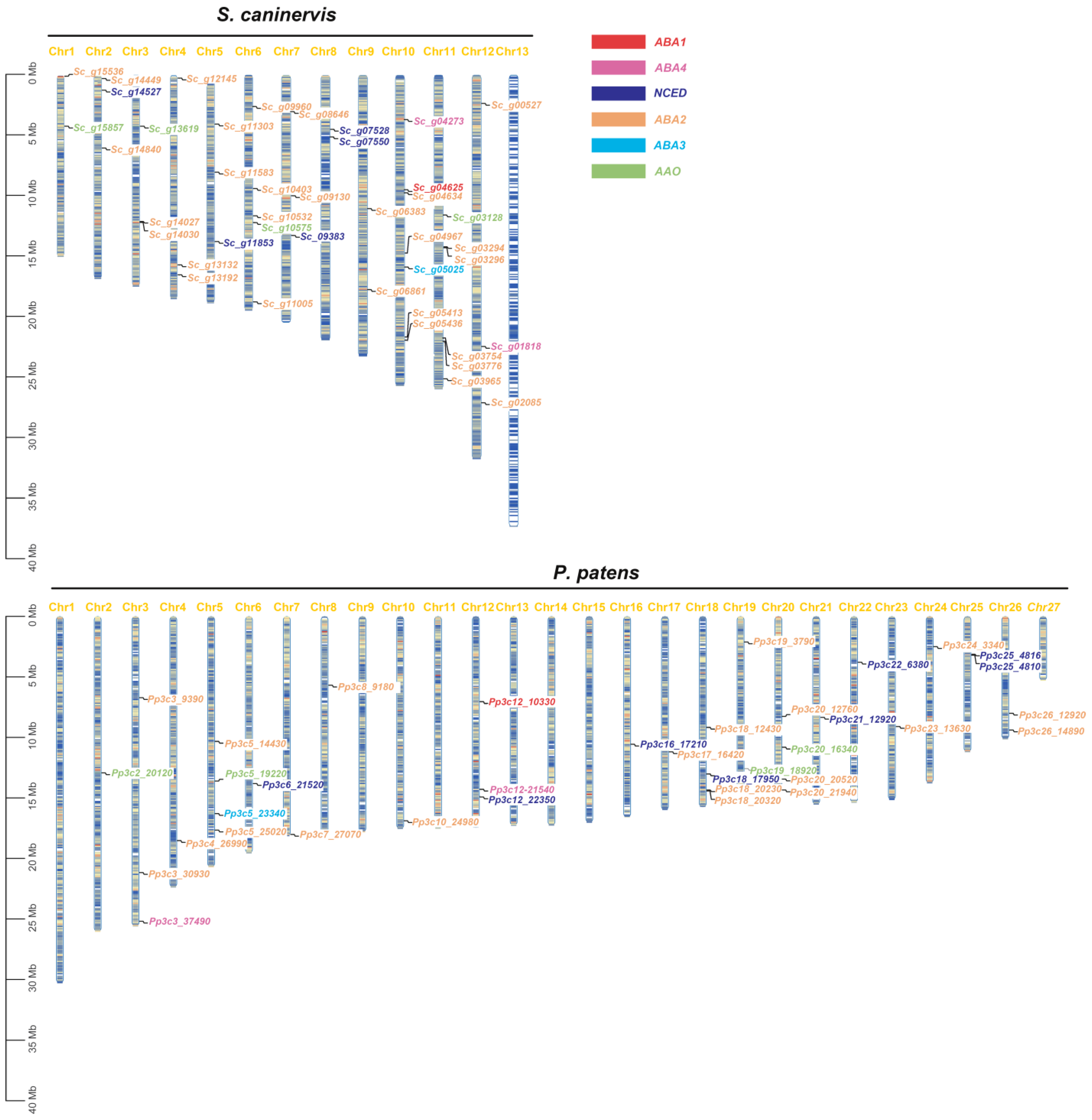 Plants 12 01114 g007 Plants 12 01114 g007